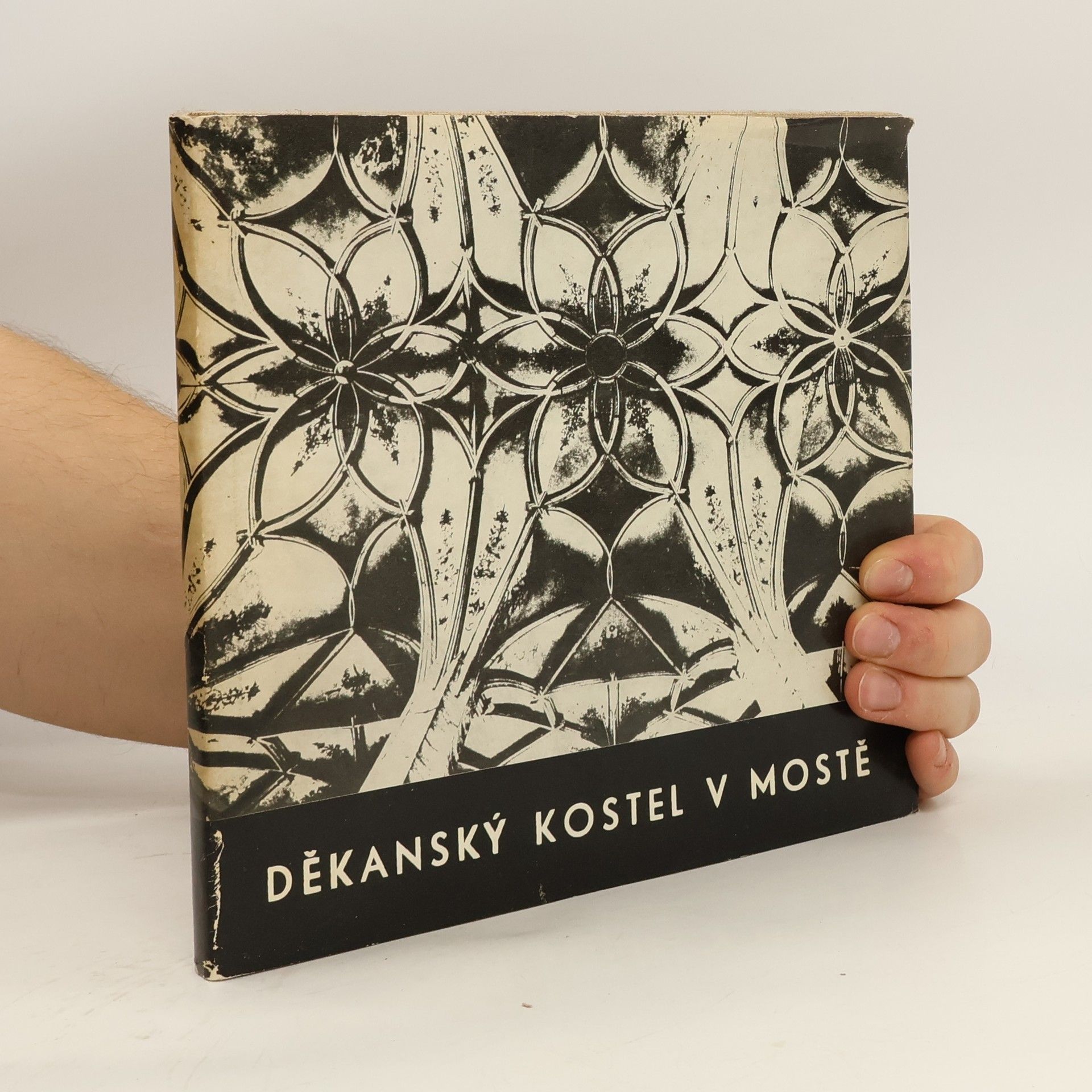 Heide Mannlová Děkanský kostel v Mostě