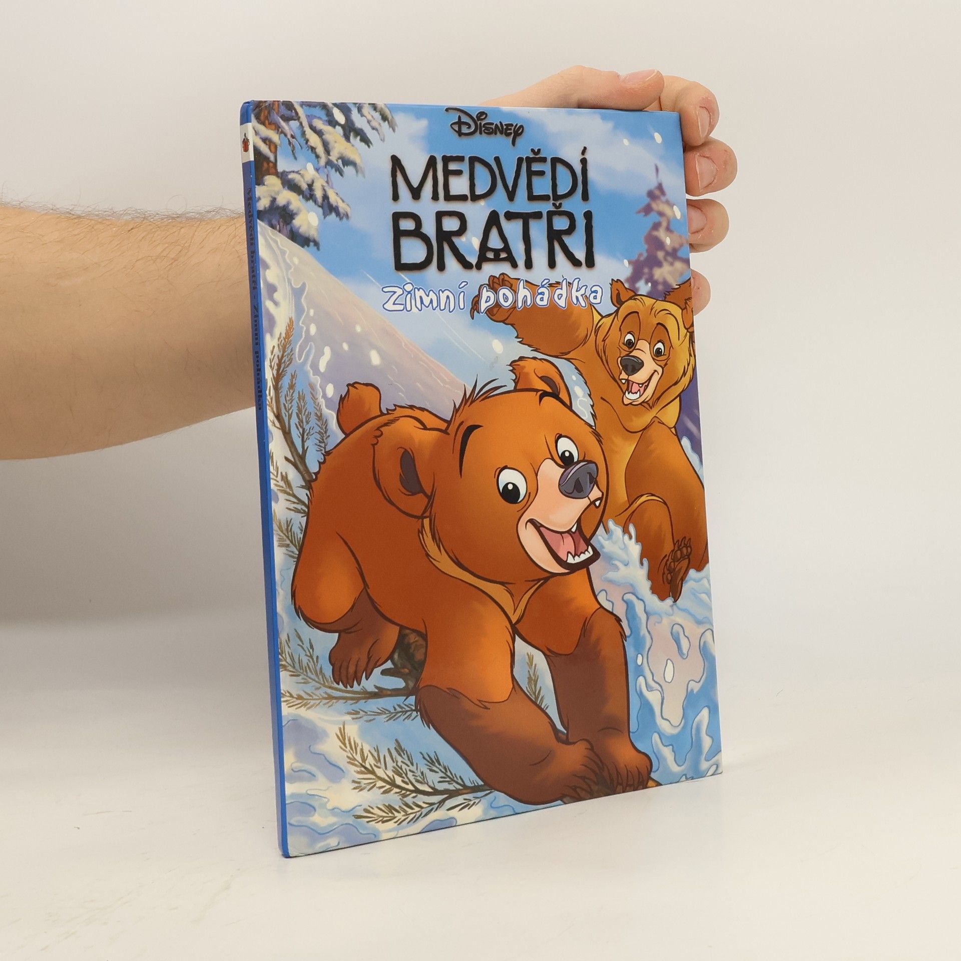 Walt Disney Medvědí bratři. Zimní pohádka