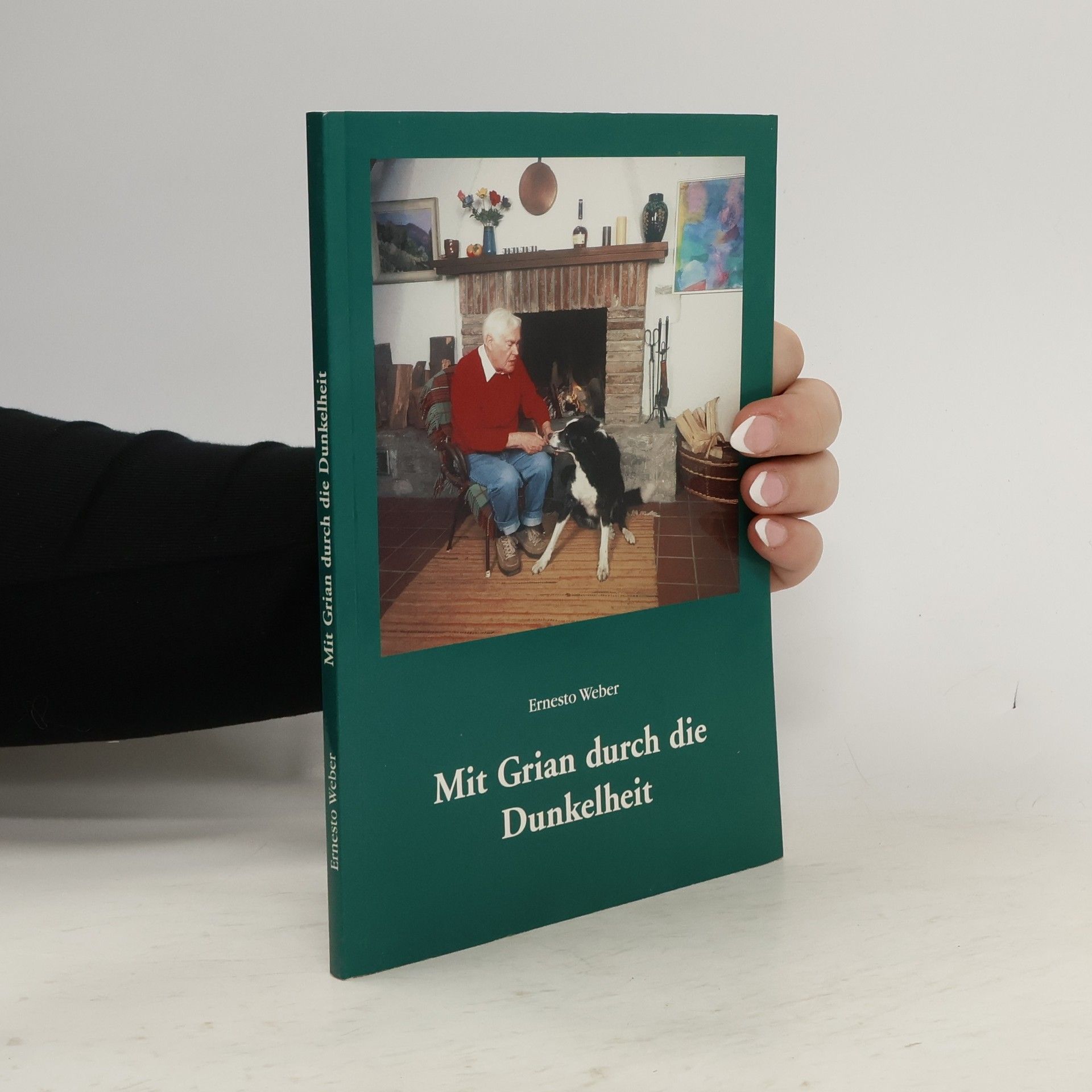 Ernesto Weber Mit Grian durch die Dunkelheit