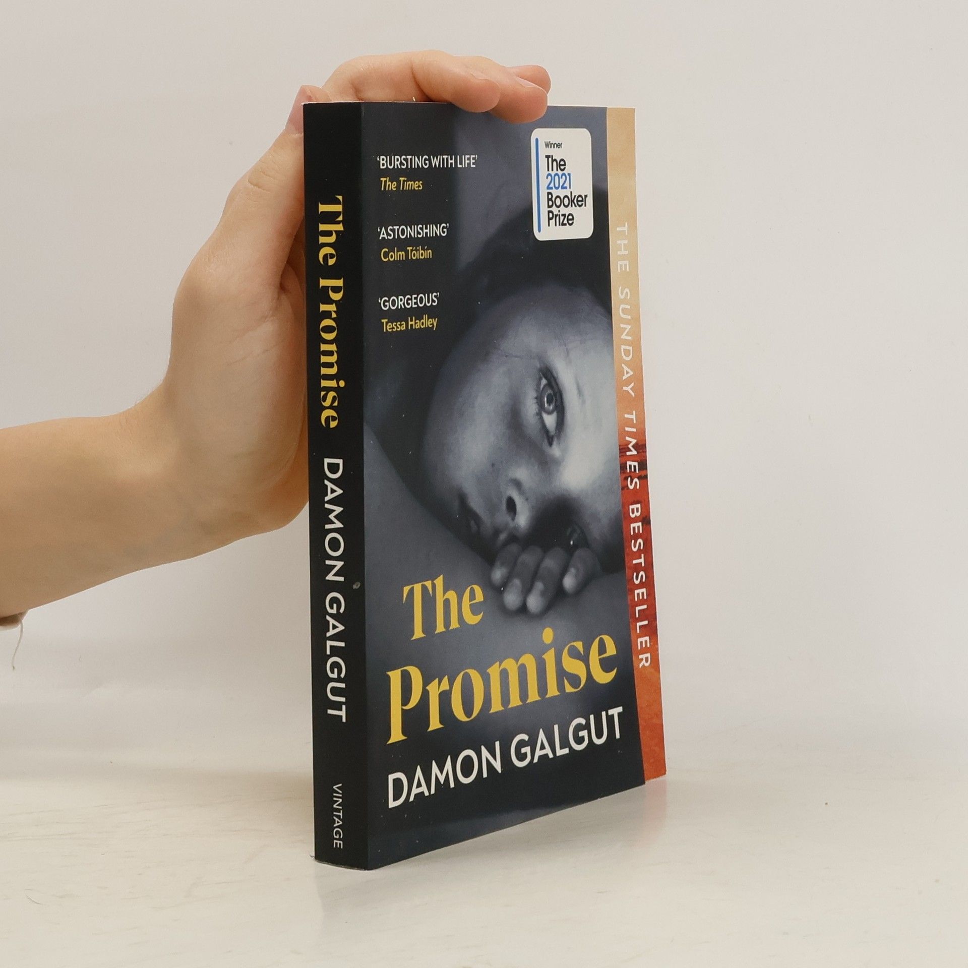 Damon Galgut The Promise