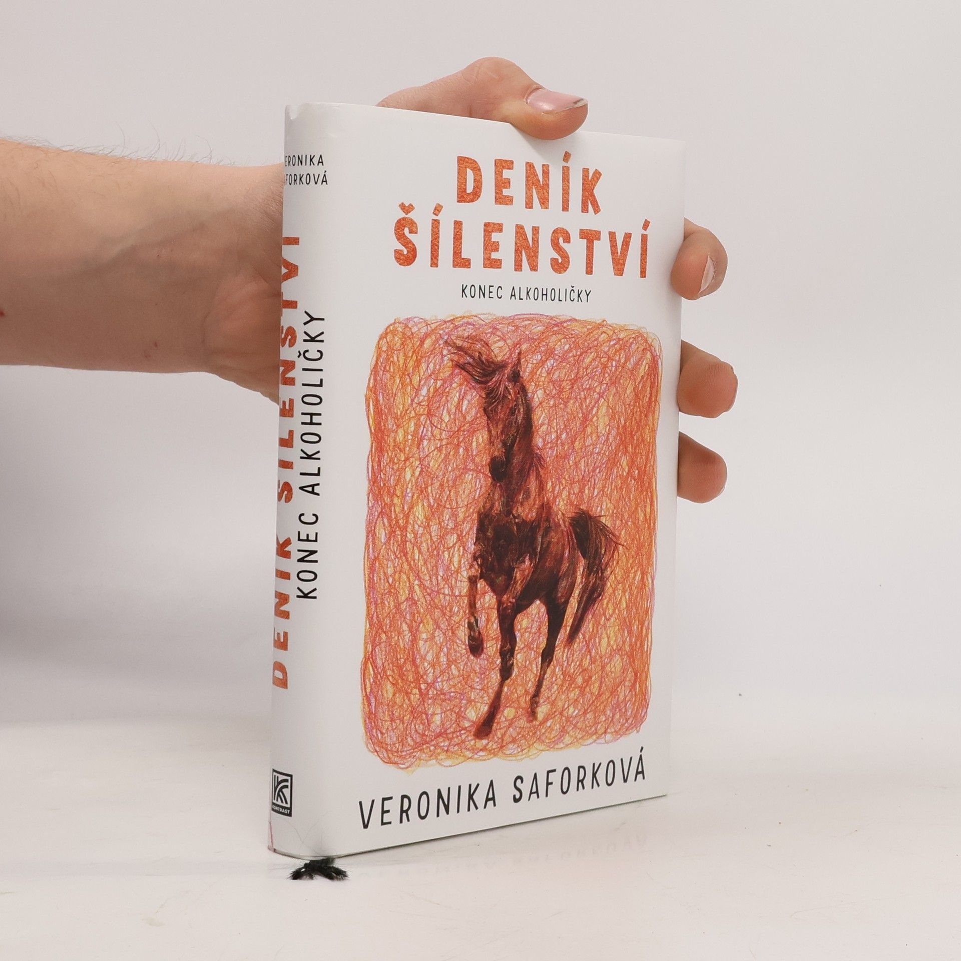 Veronika Saforková Deník šílenství