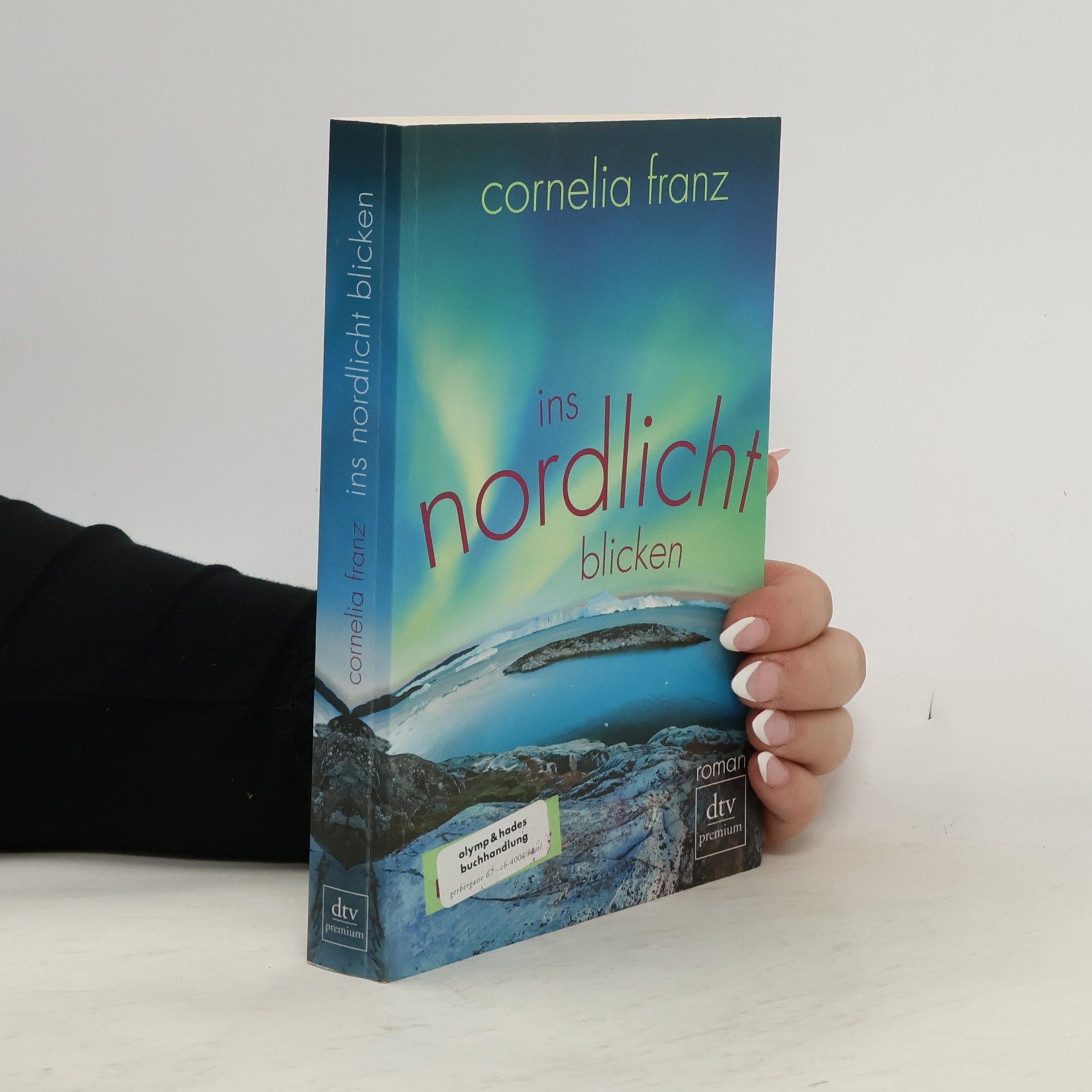 Cornelia Franz Ins Nordlicht blicken