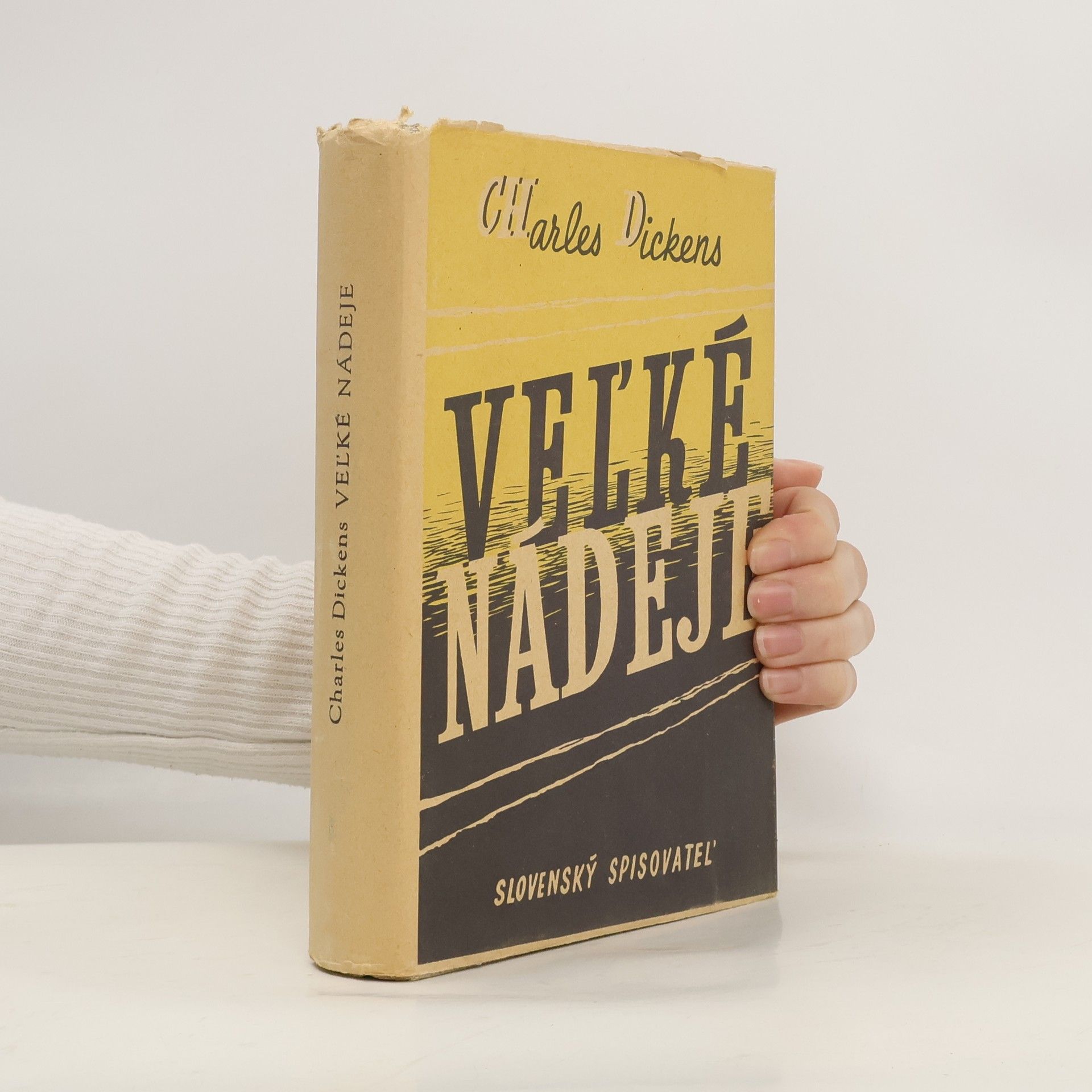 Charles Dickens Veľké nádeje