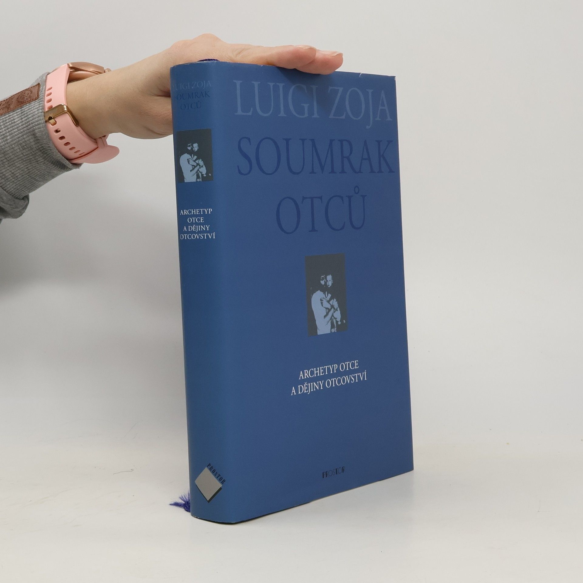 Soumrak otců : archetyp otce a dějiny otcovství