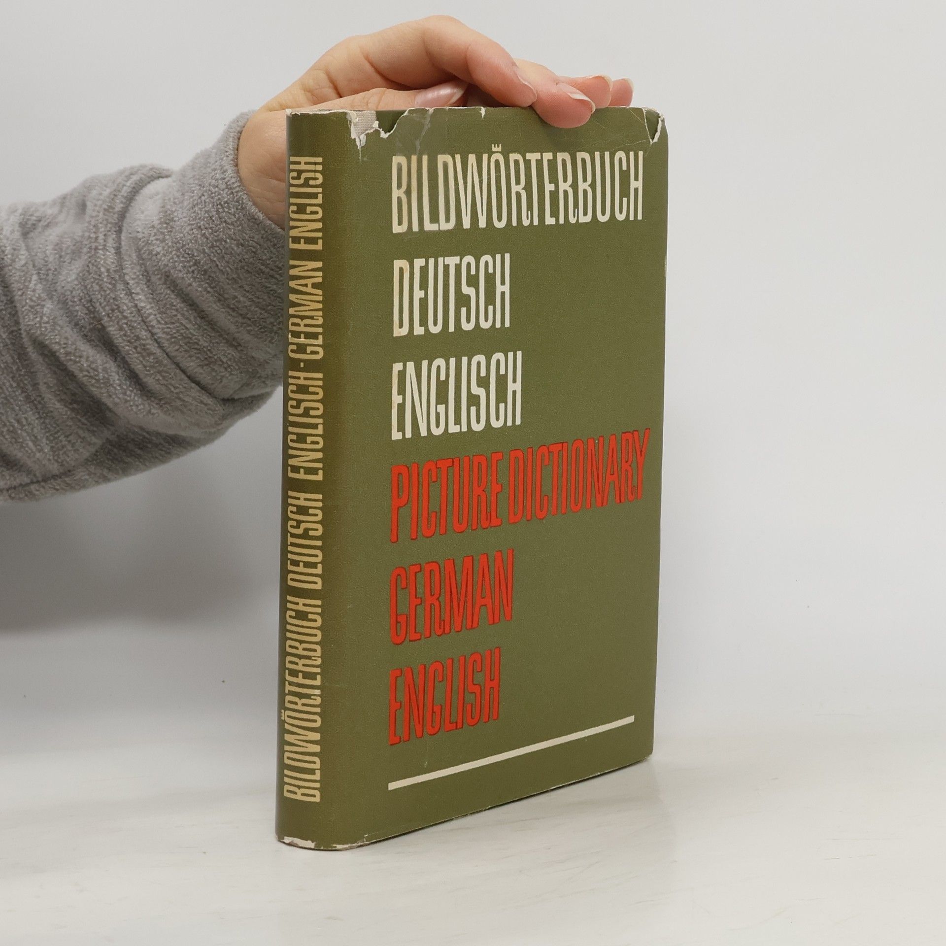 Collectif d'auteurs Bildwörterbuch Deutsch-English. Picture Dictionary German-English