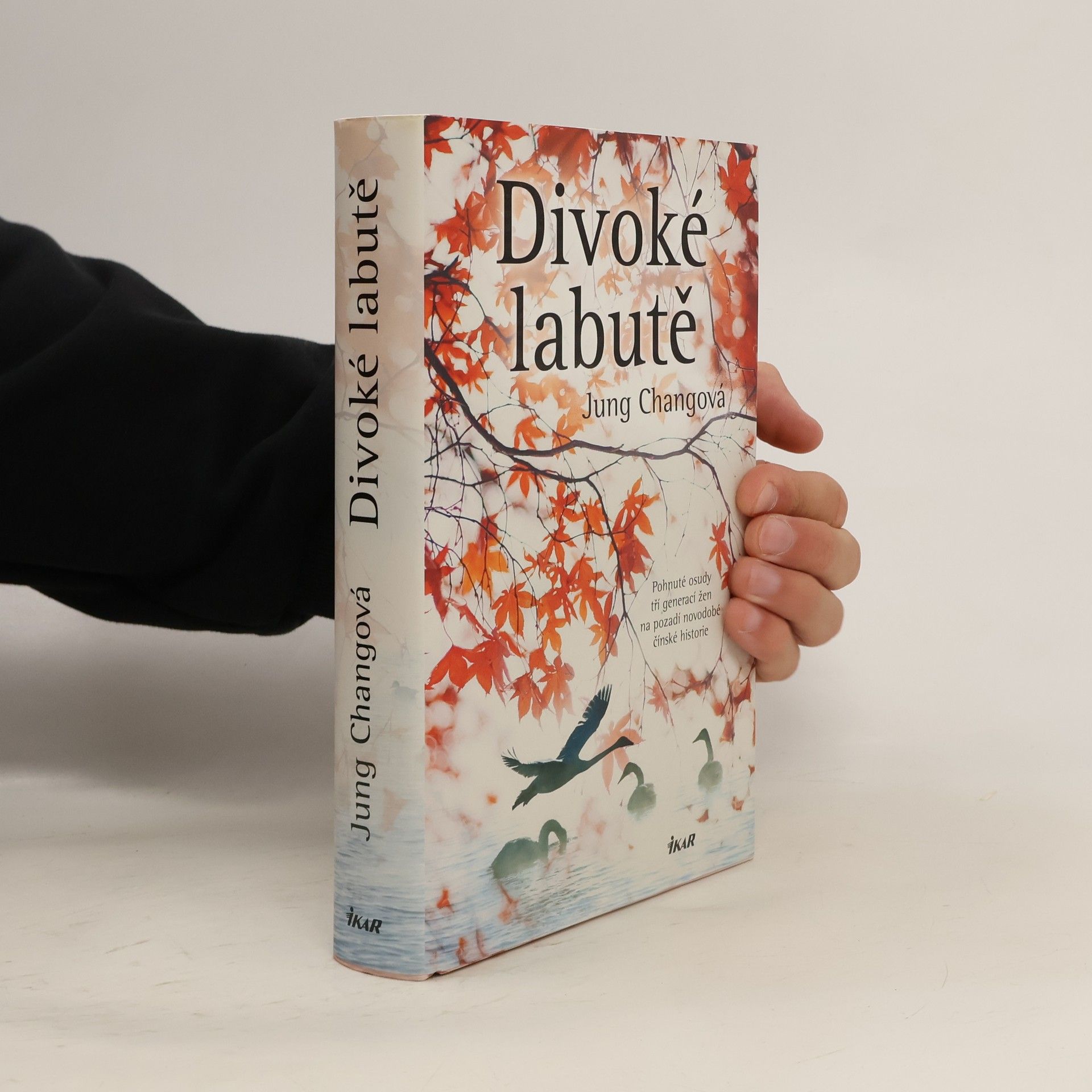 Yong Chang Divoké labutě