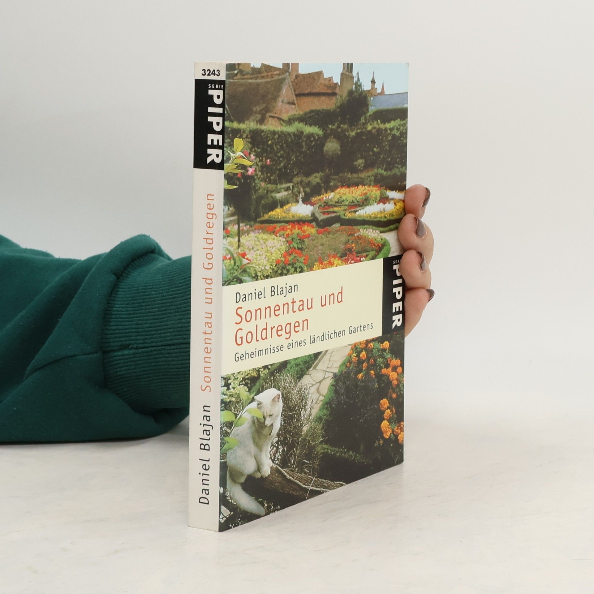 Sonnentau und Goldregen