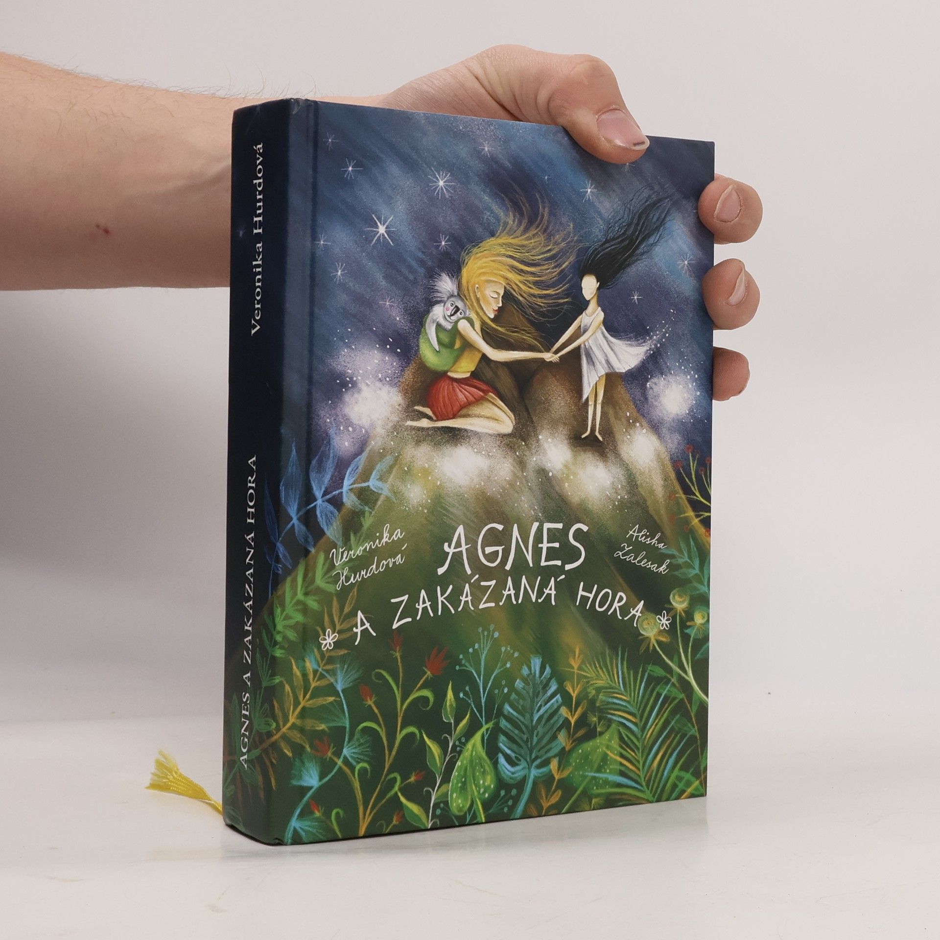 Veronika Hurdová Agnes a Zakázaná hora