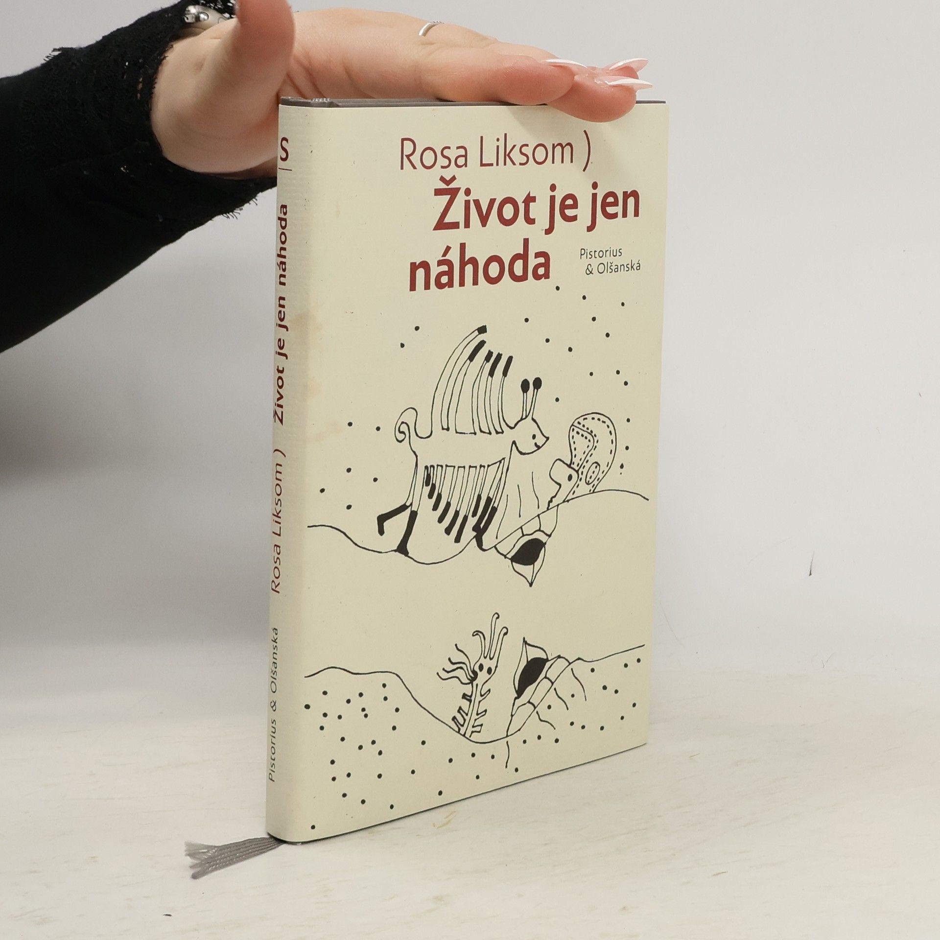 Rosa Liksom Život je jen náhoda