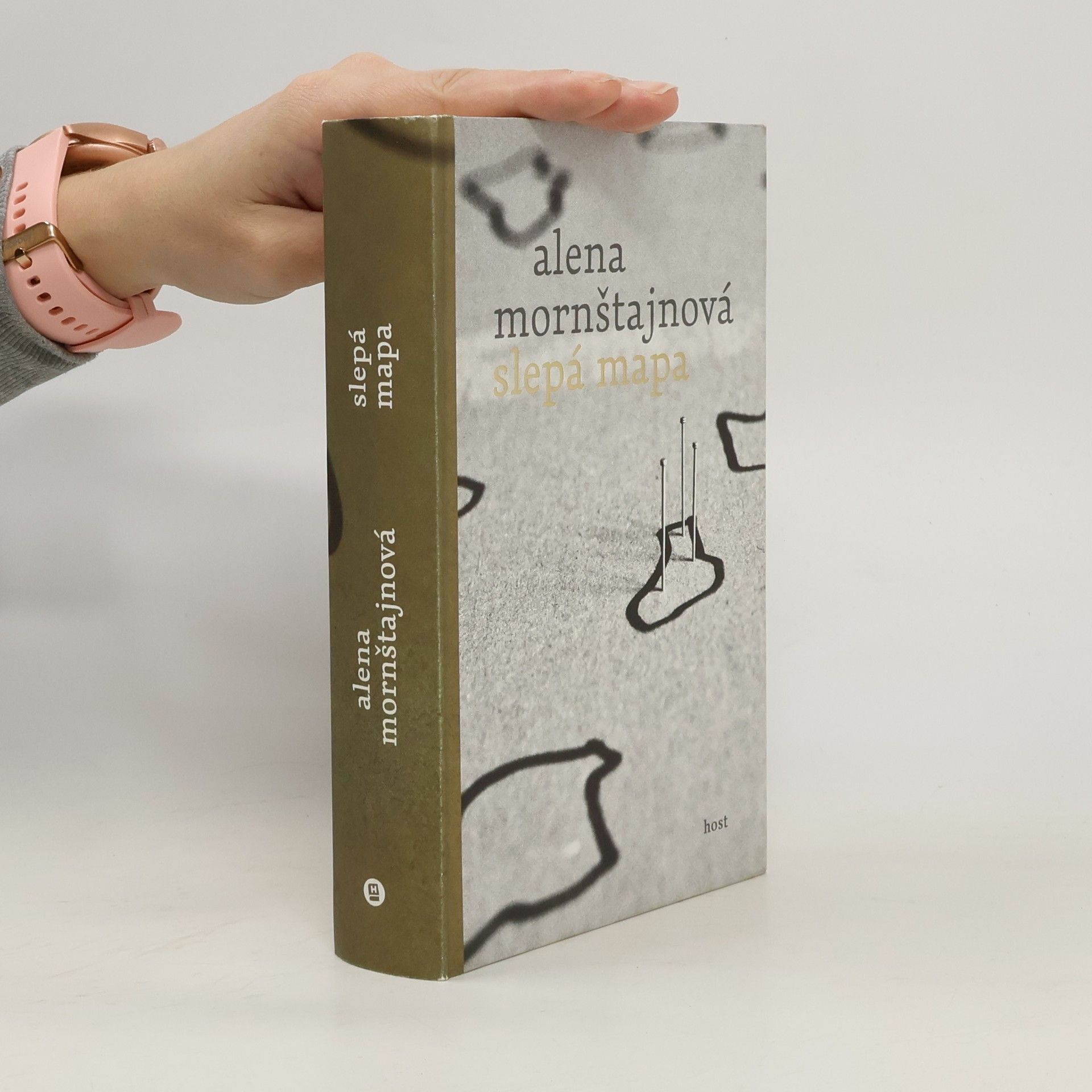 Alena Mornštajnová Slepá mapa