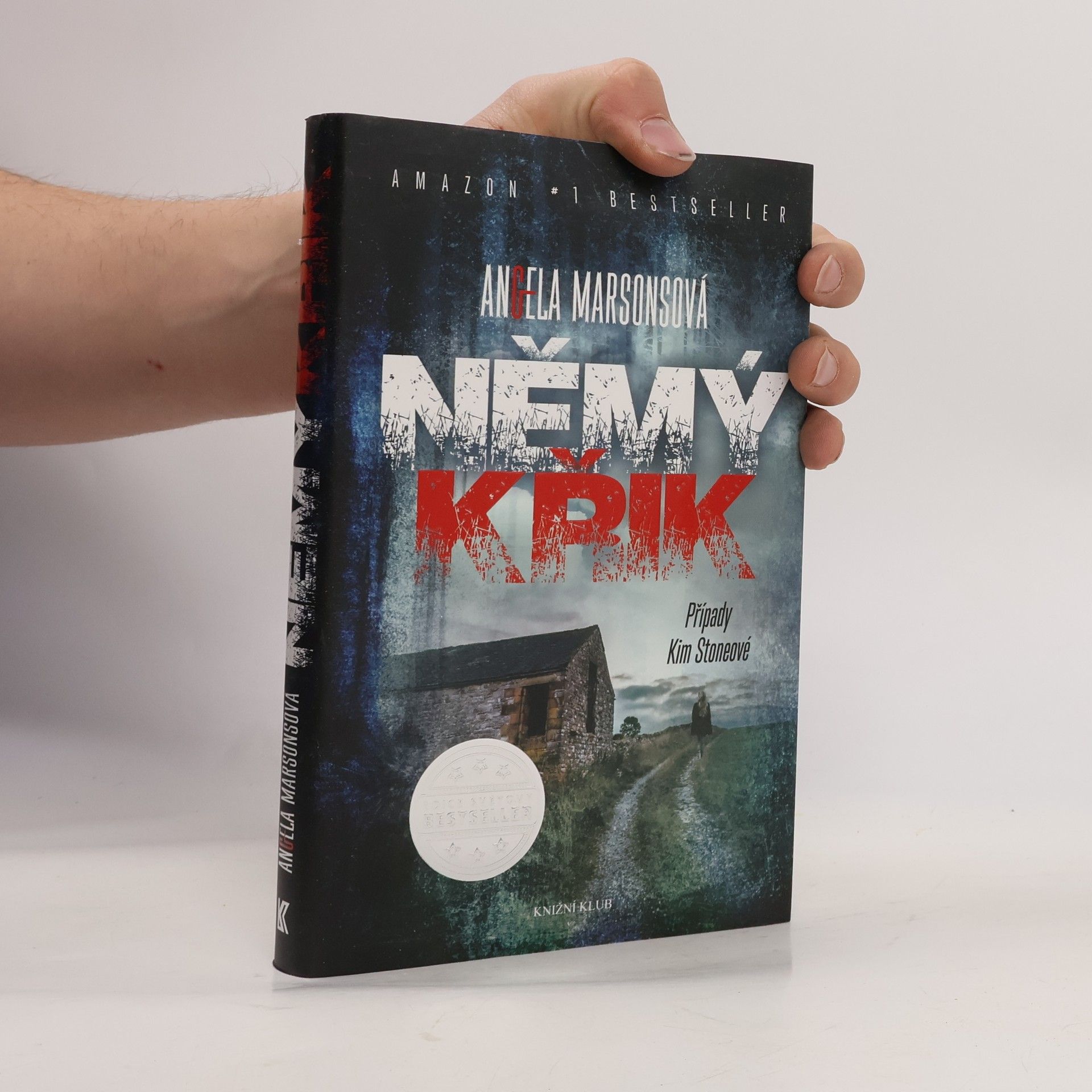 Angela Marsons Němý křik