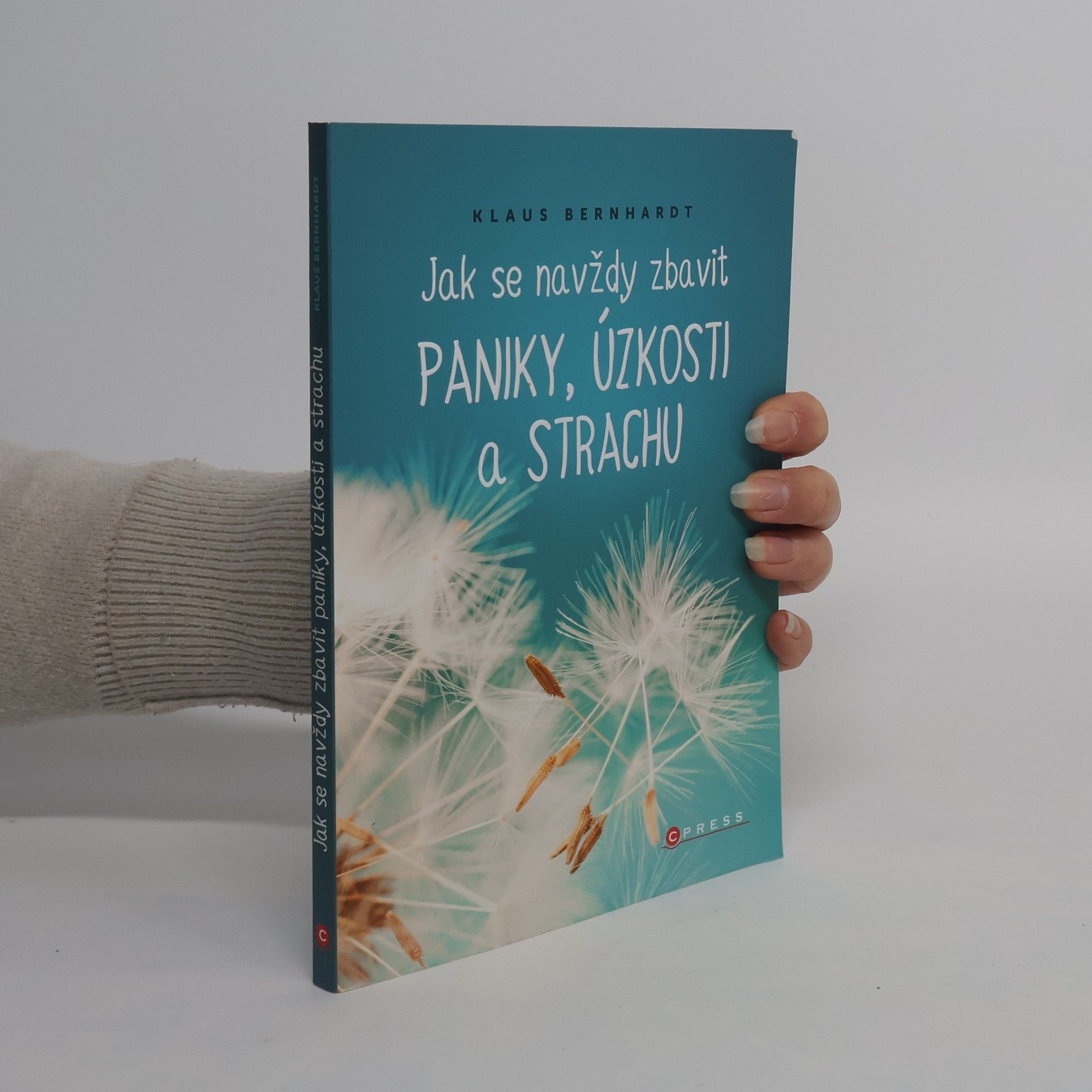 Klaus Bernhardt Jak se navždy zbavit paniky, úzkosti a strachu