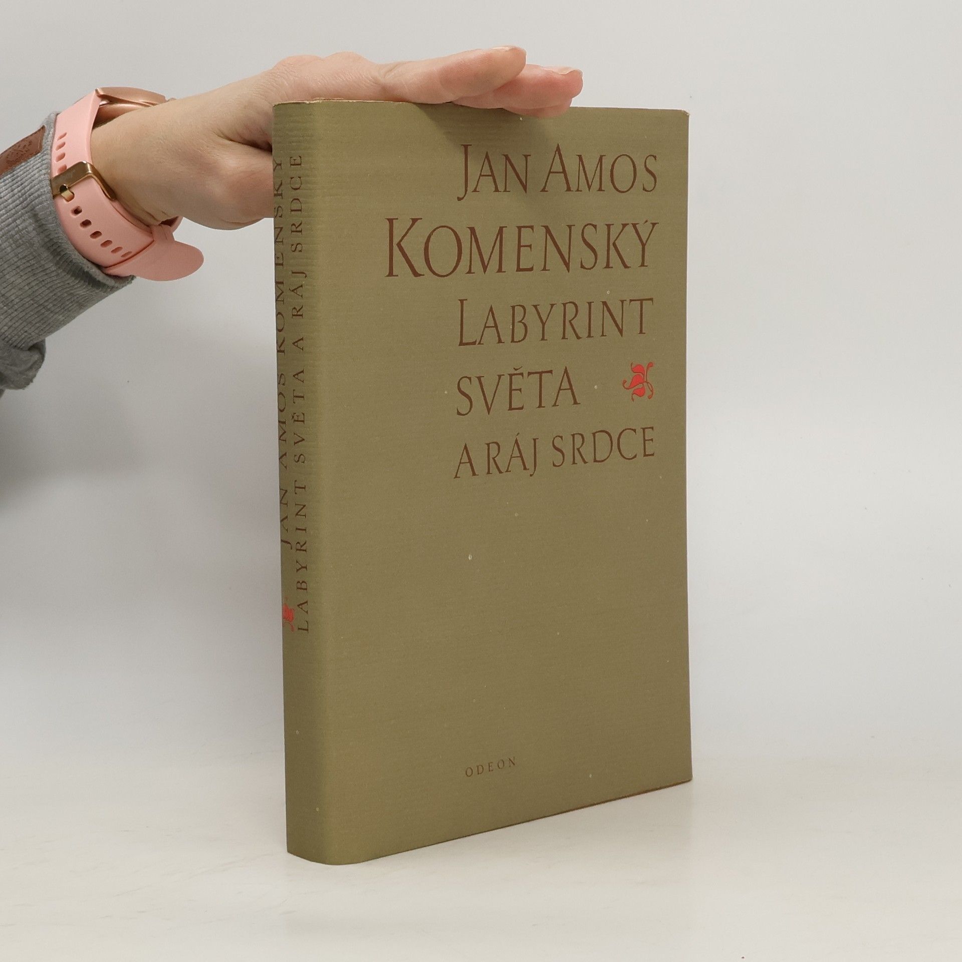 Jan Amos Komenský Labyrint světa a ráj srdce