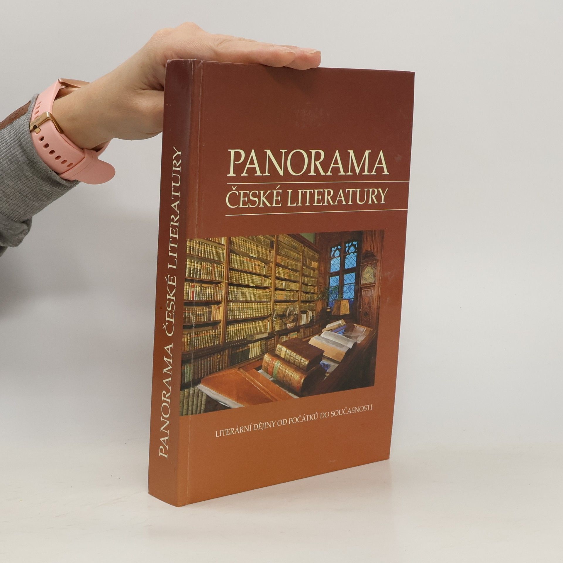 Kolektiv autorů Panorama české literatury. Literární dějiny od počátků do současnosti