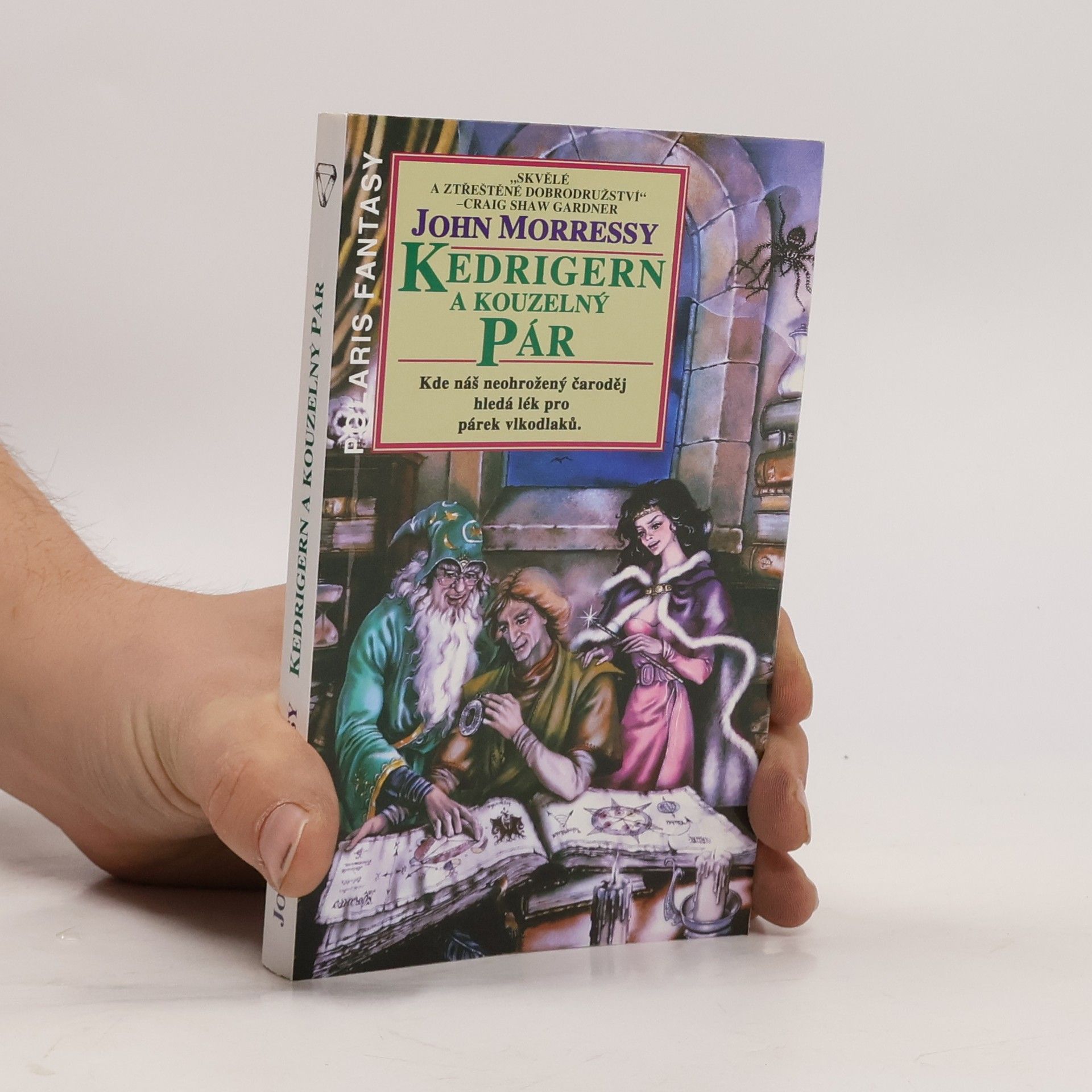 John Morressy Kedrigern a kouzelný pár