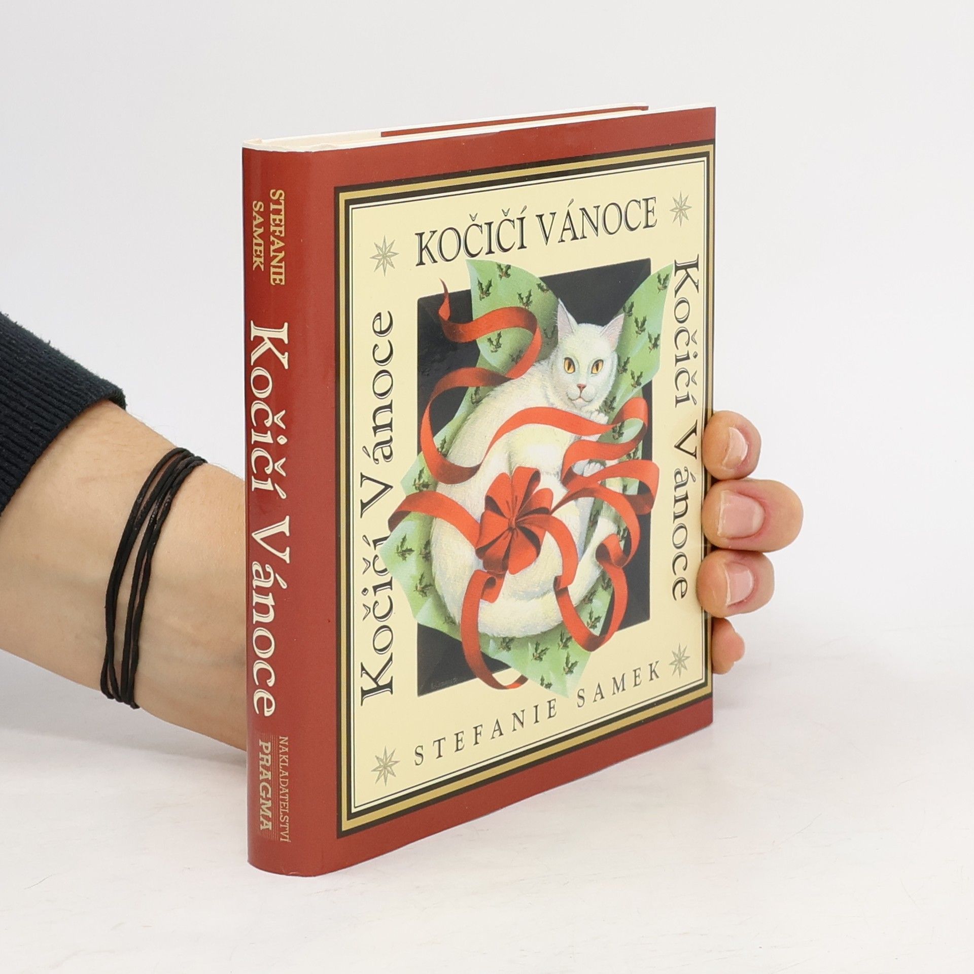 Stefanie Samek Kočičí vánoce