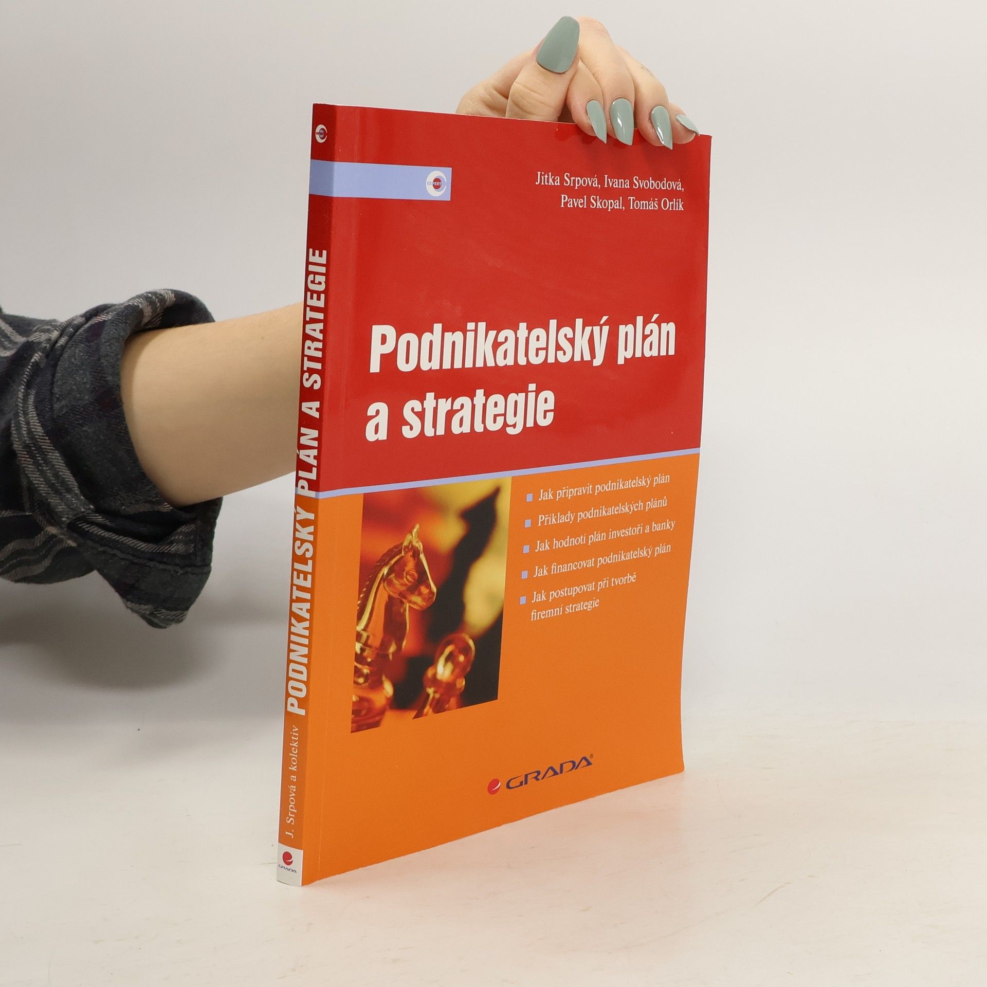 Jitka Srpová Podnikatelský plán a strategie