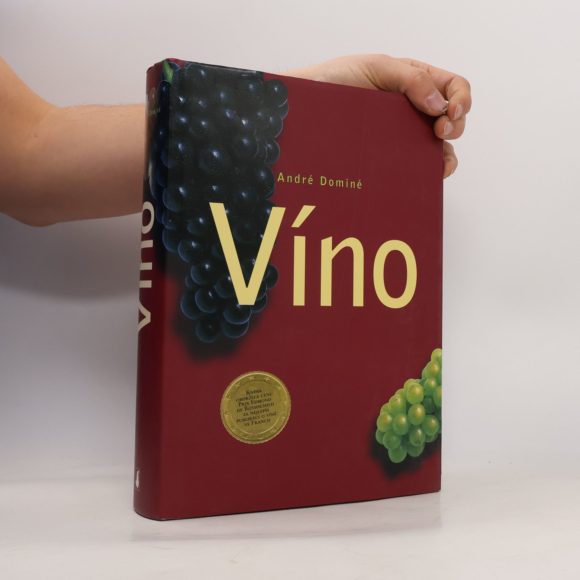 André Dominé Víno