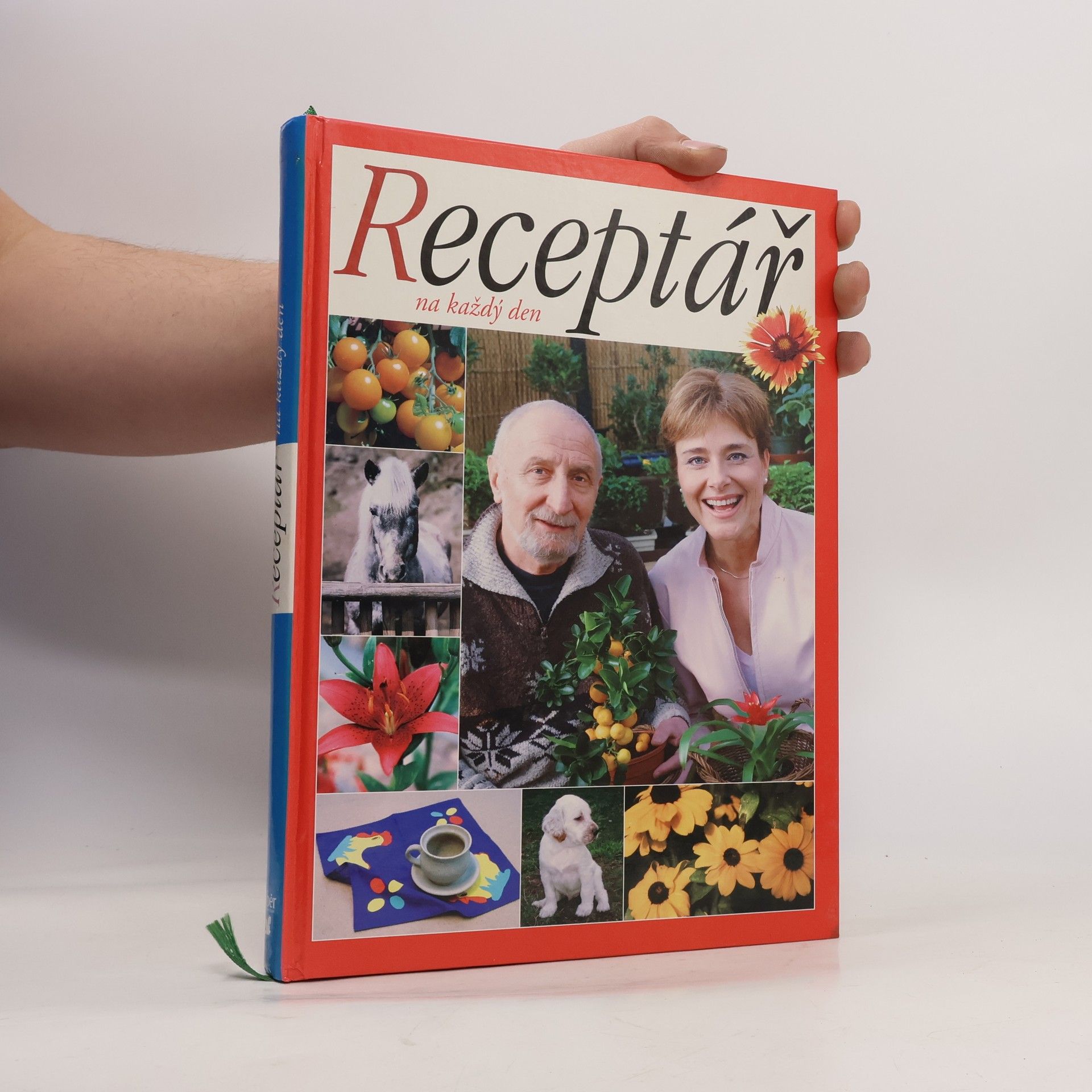 Autorenkollektiv Receptář na každý den