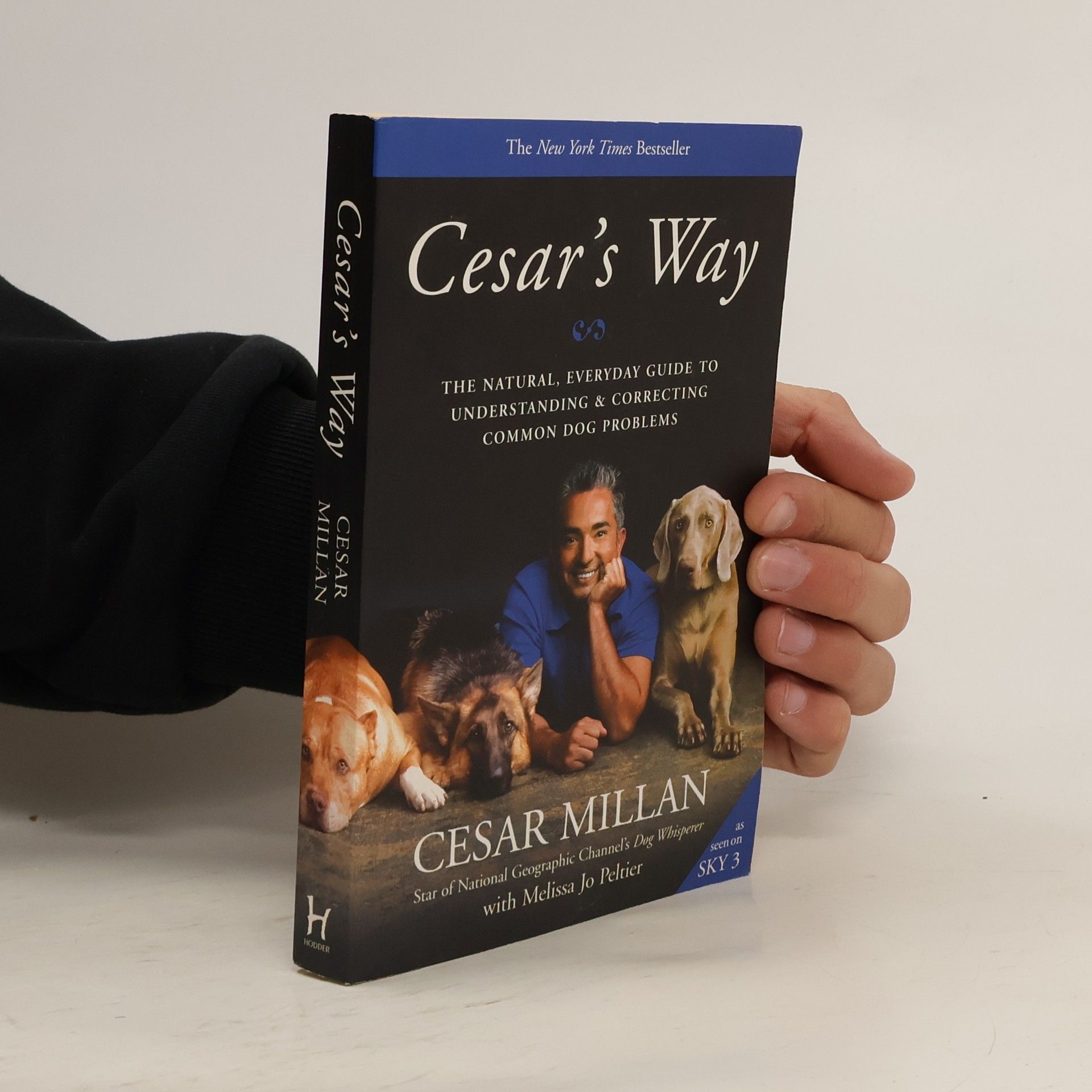 Cesar Millan Cesar's Way
