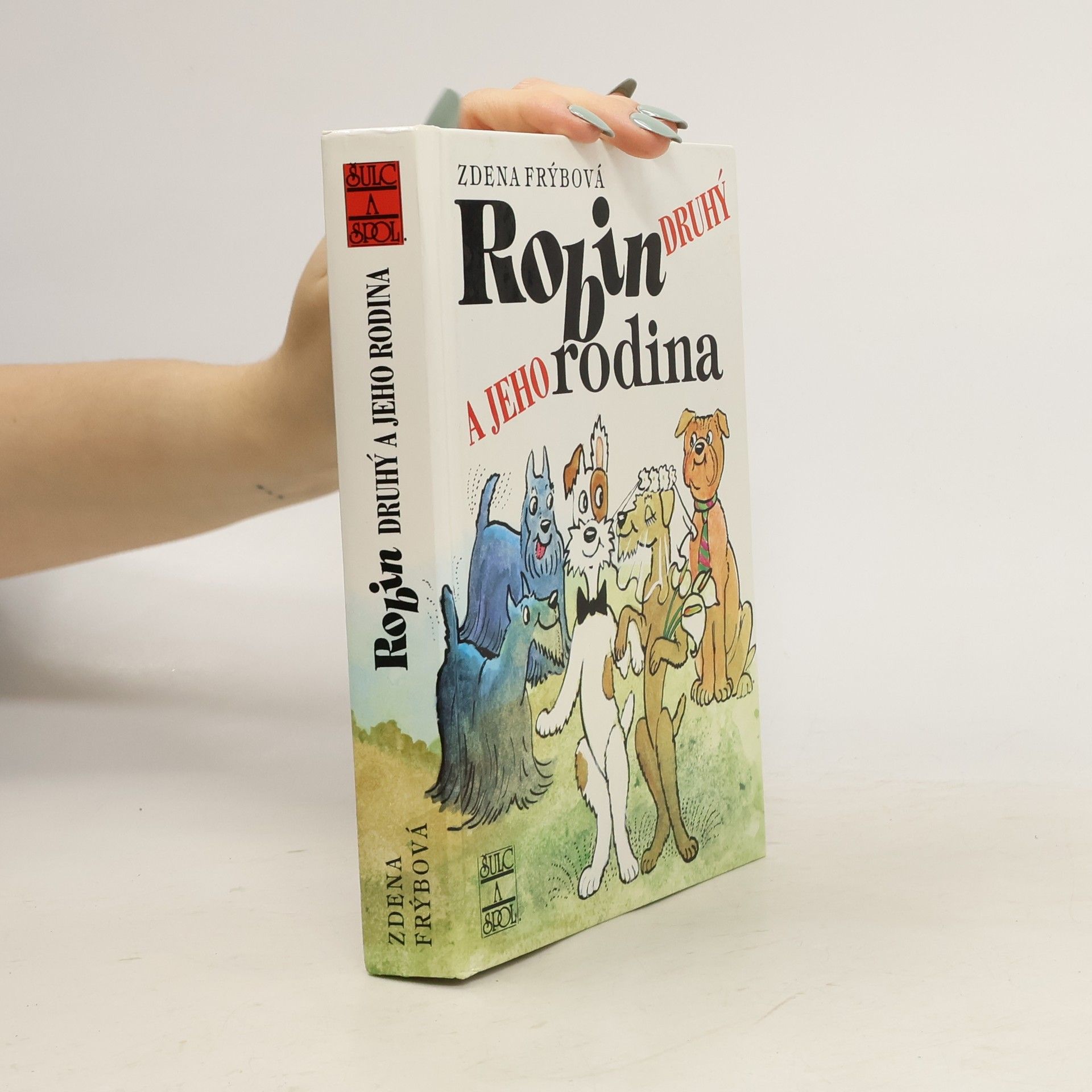 Robin Druhý a jeho rodina