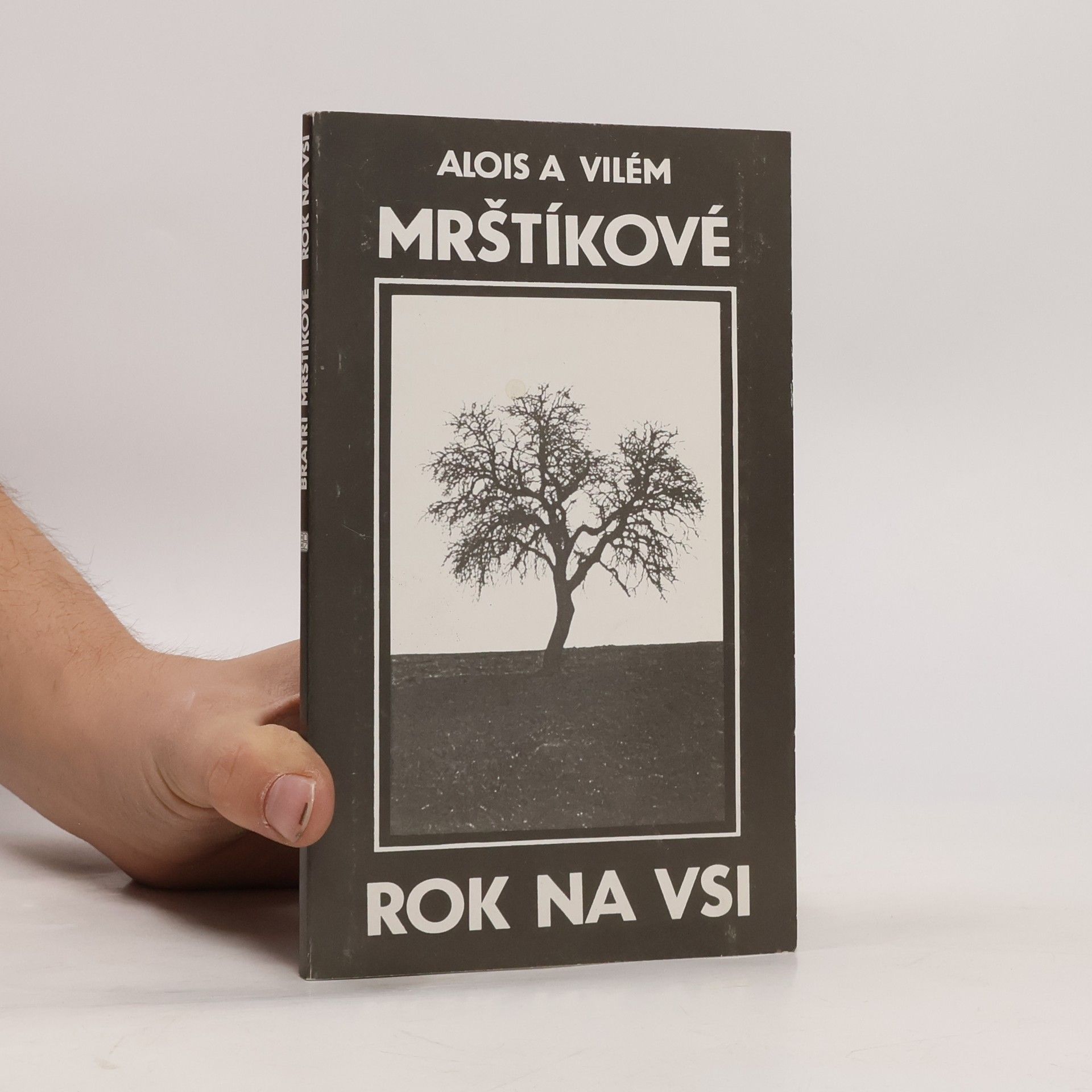 Alois Mrštík Rok na vsi