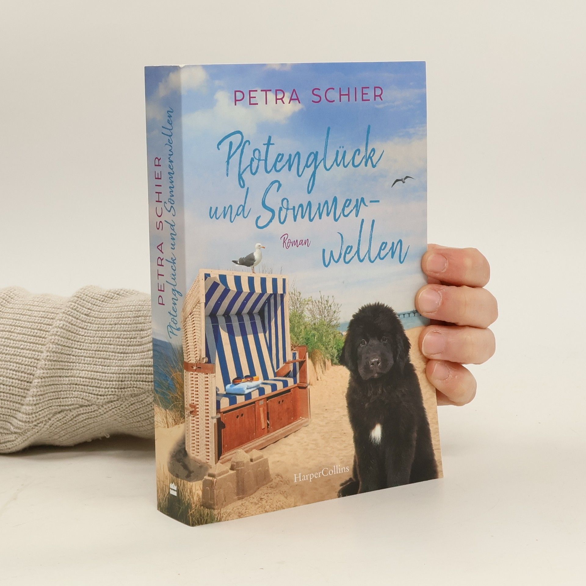 Pfotenglück und Sommerwellen / Lichterhaven Bd.8