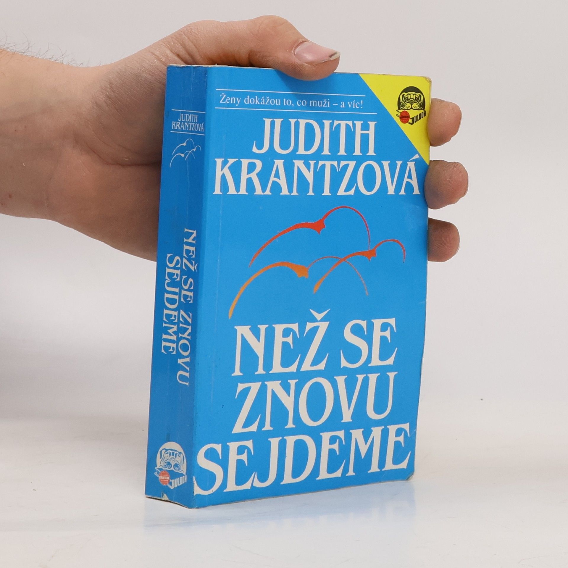 Judith Krantz Než se znovu sejdeme