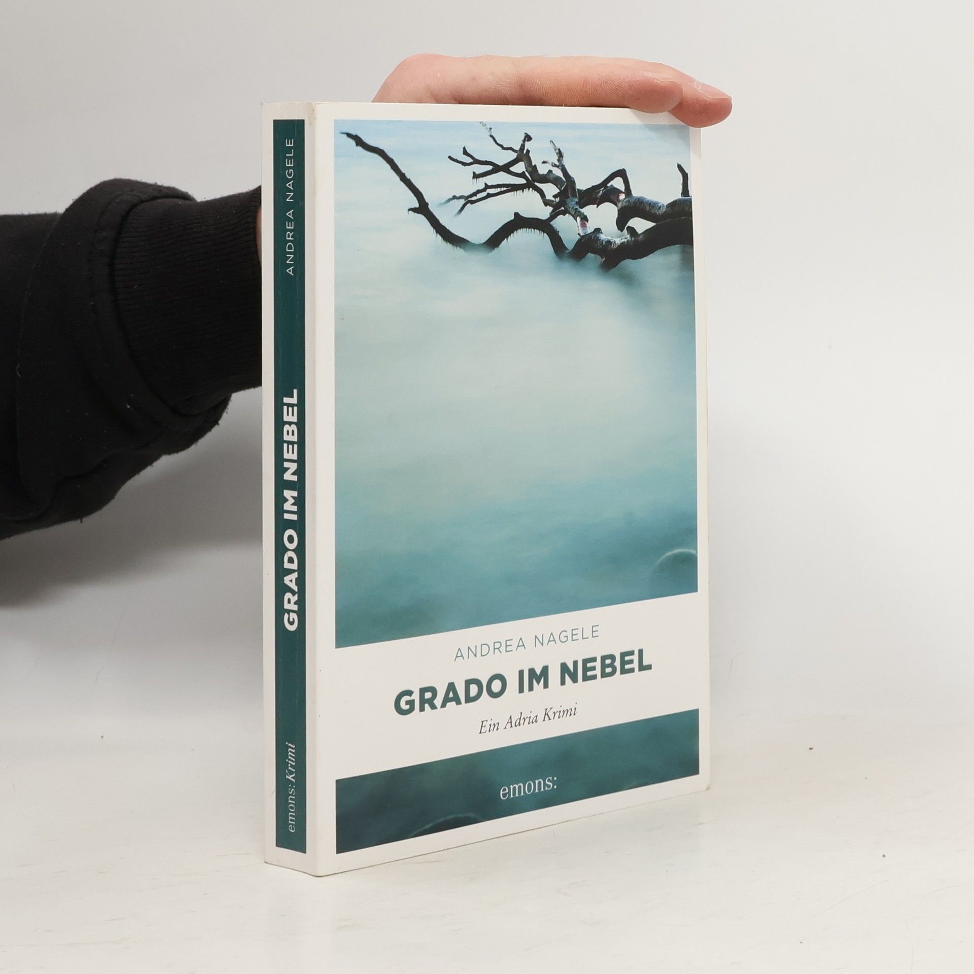 Andrea Nagele-König Grado im Nebel