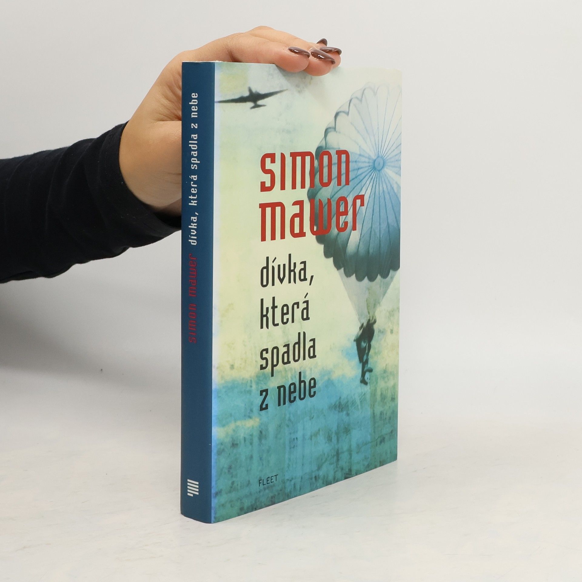 Simon Mawer Dívka, která spadla z nebe