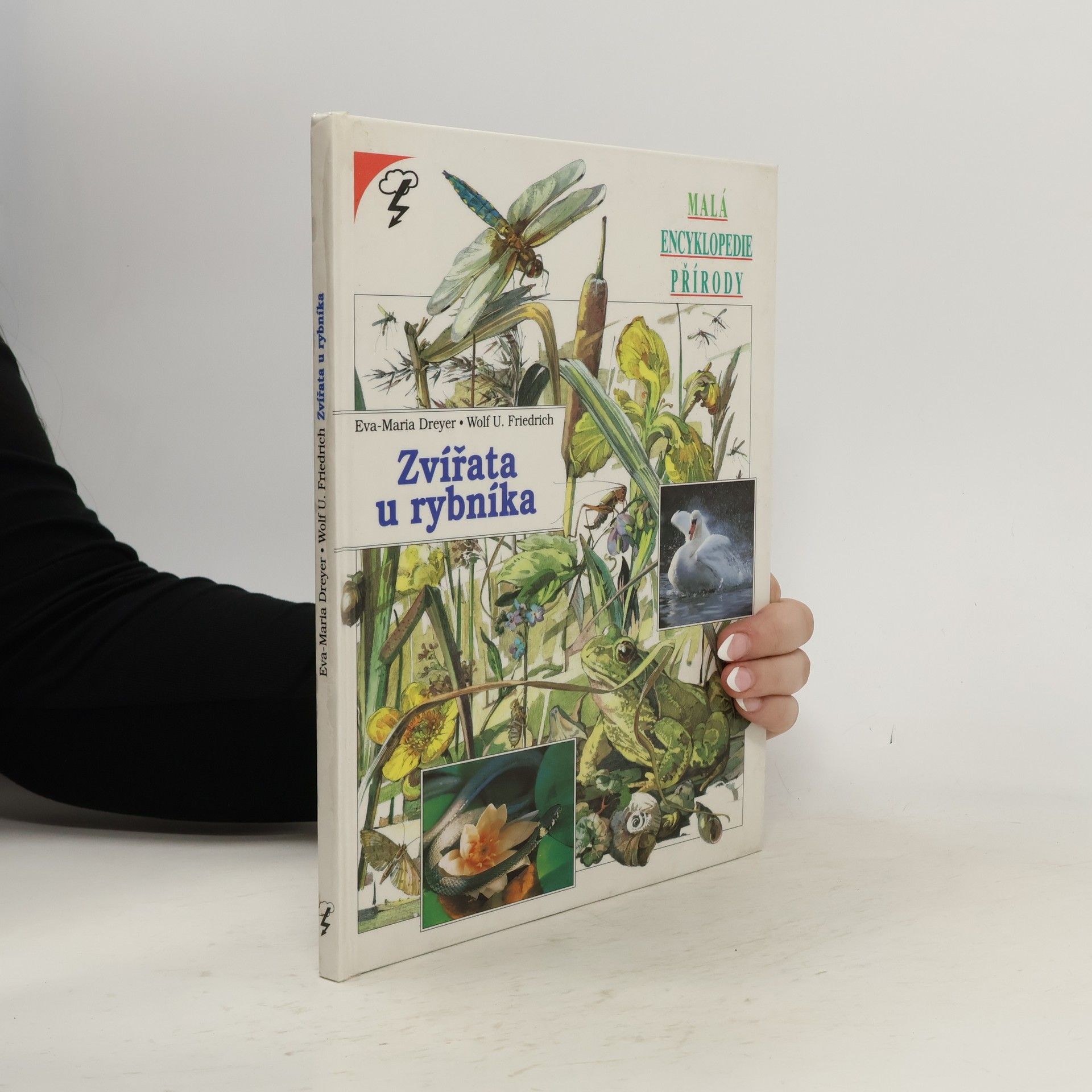 Eva-Maria Dreyer Zvířata u rybníka