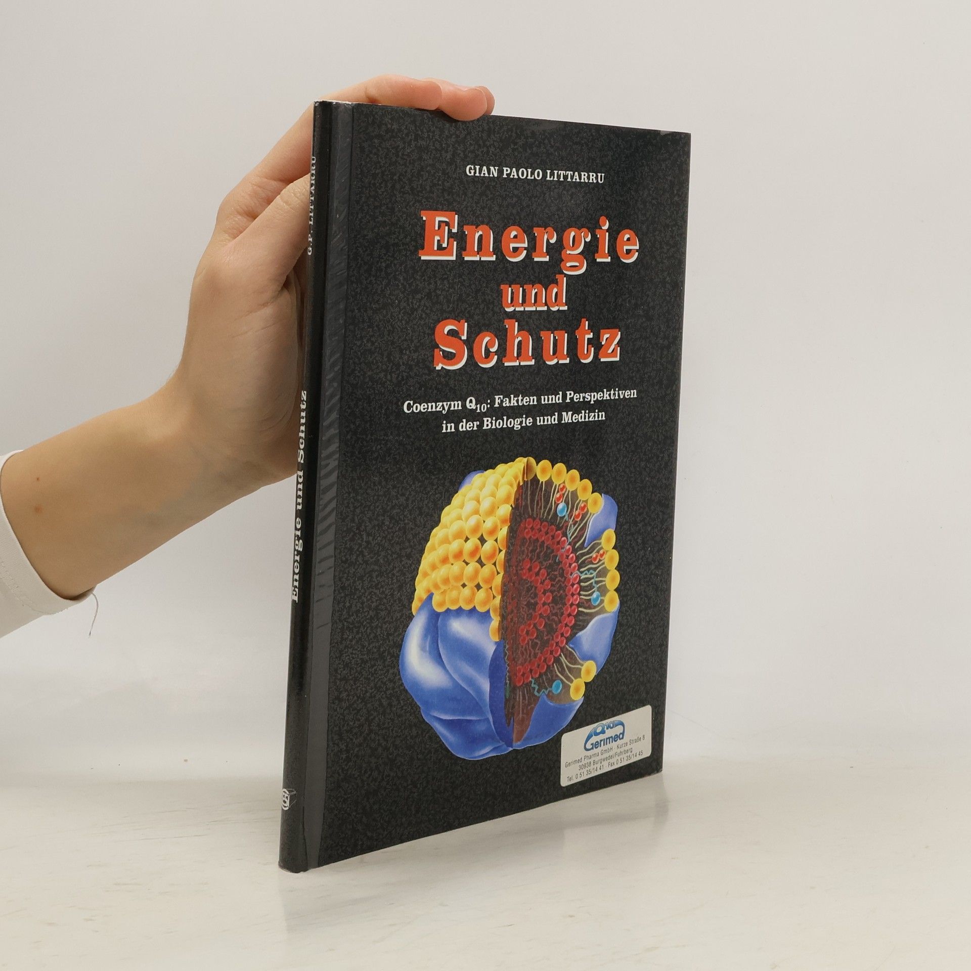 Gian Paolo Littarru Energie und Schutz