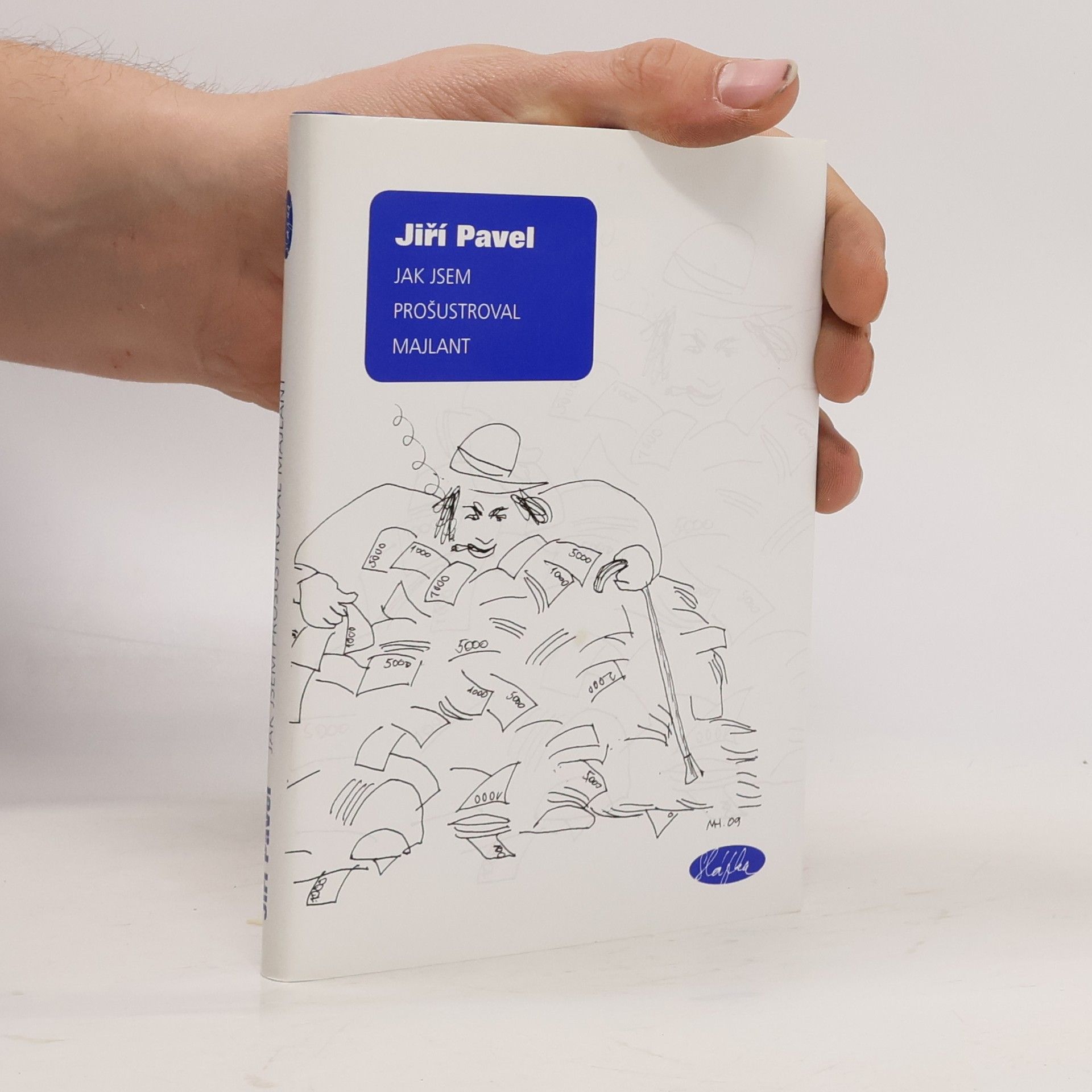 Jak jsem prošustroval majlant