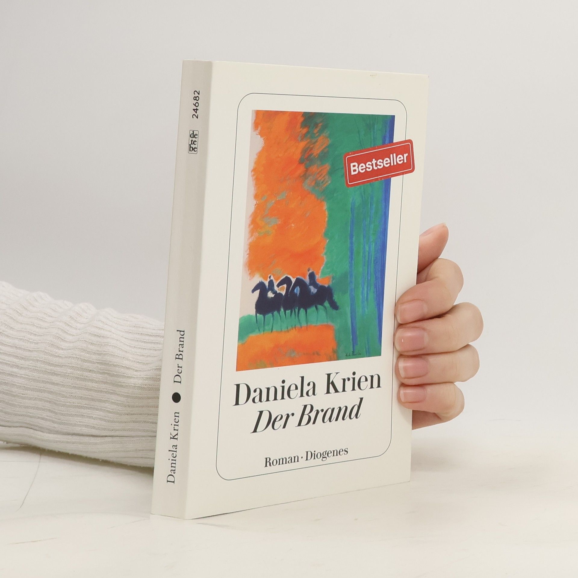 Daniela Krien Der Brand