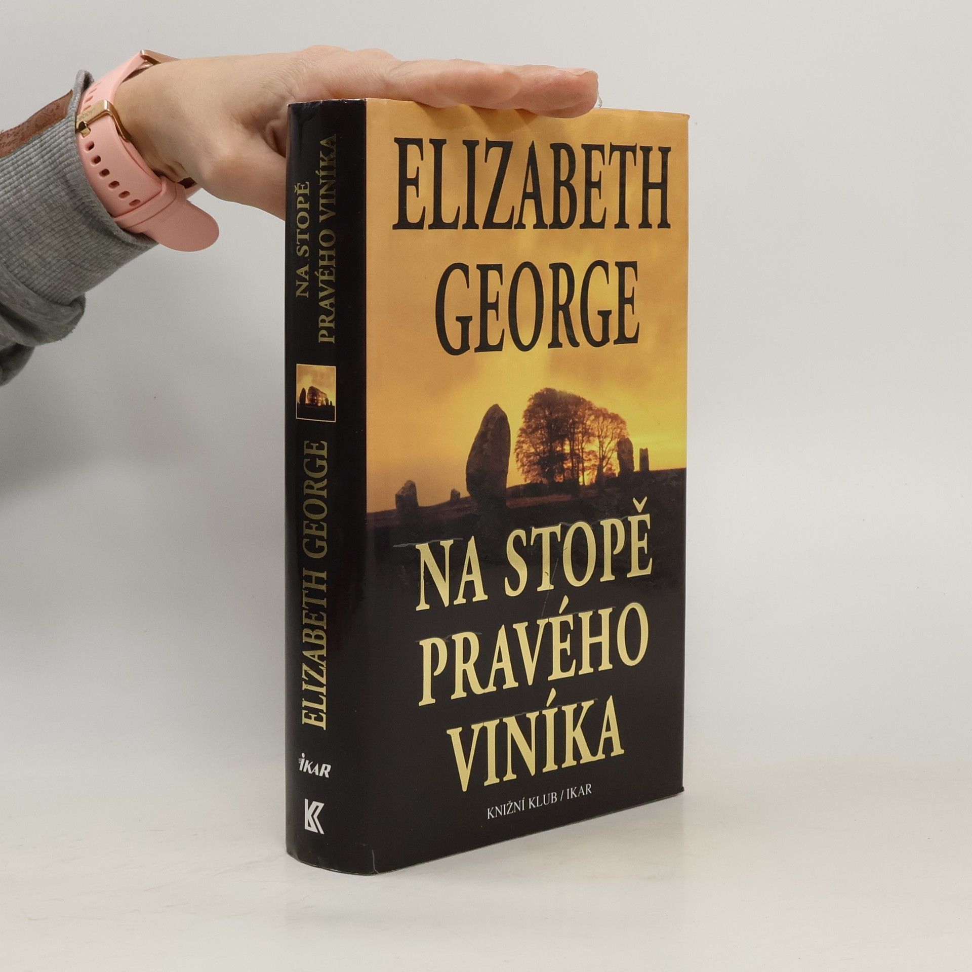 Elizabeth George Na stopě pravého viníka