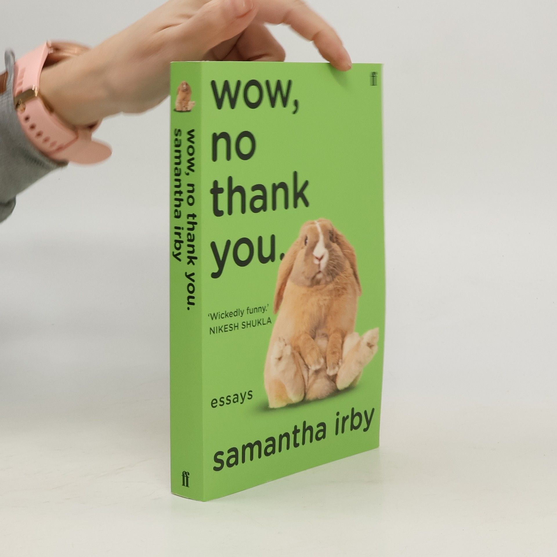 Samantha Irby Wow, No Thank You.