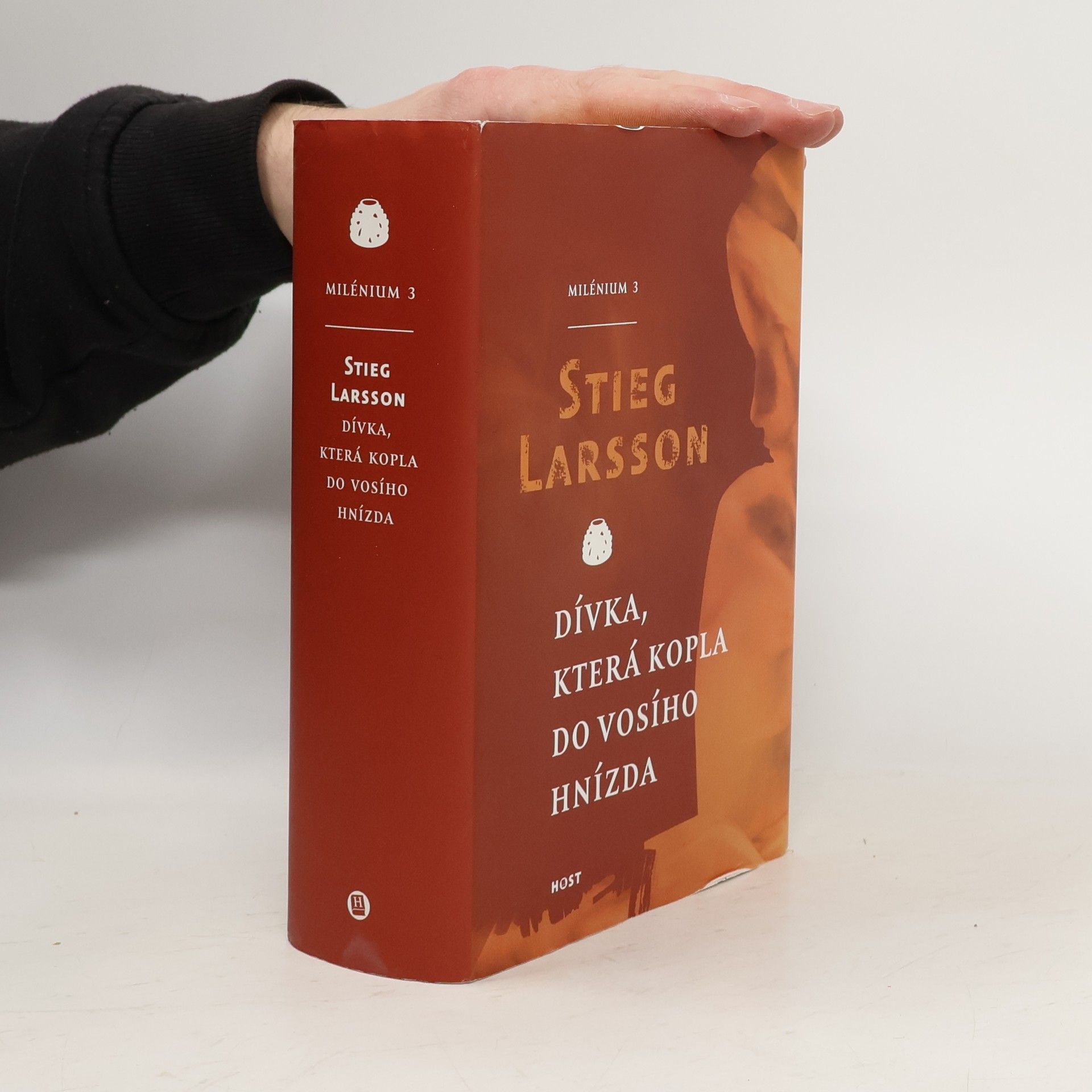 Dívka, která kopla do vosího hnízda