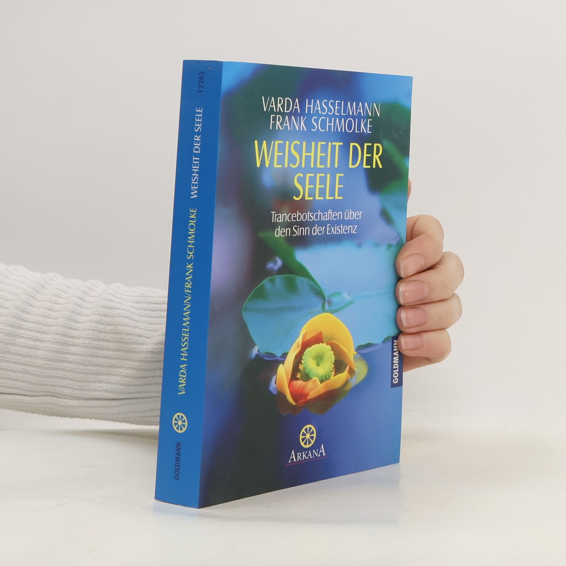 Durchsagen aus der kausalen Welt 3