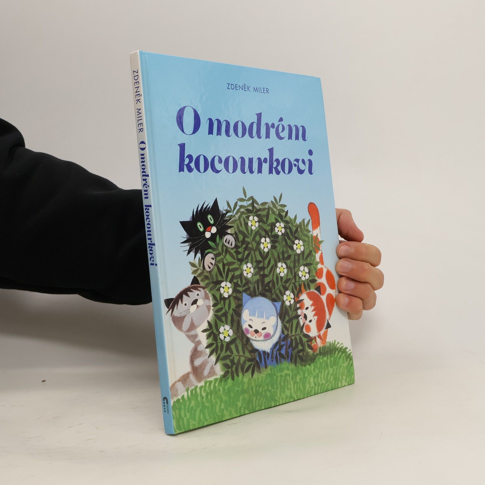 O modrém kocourkovi