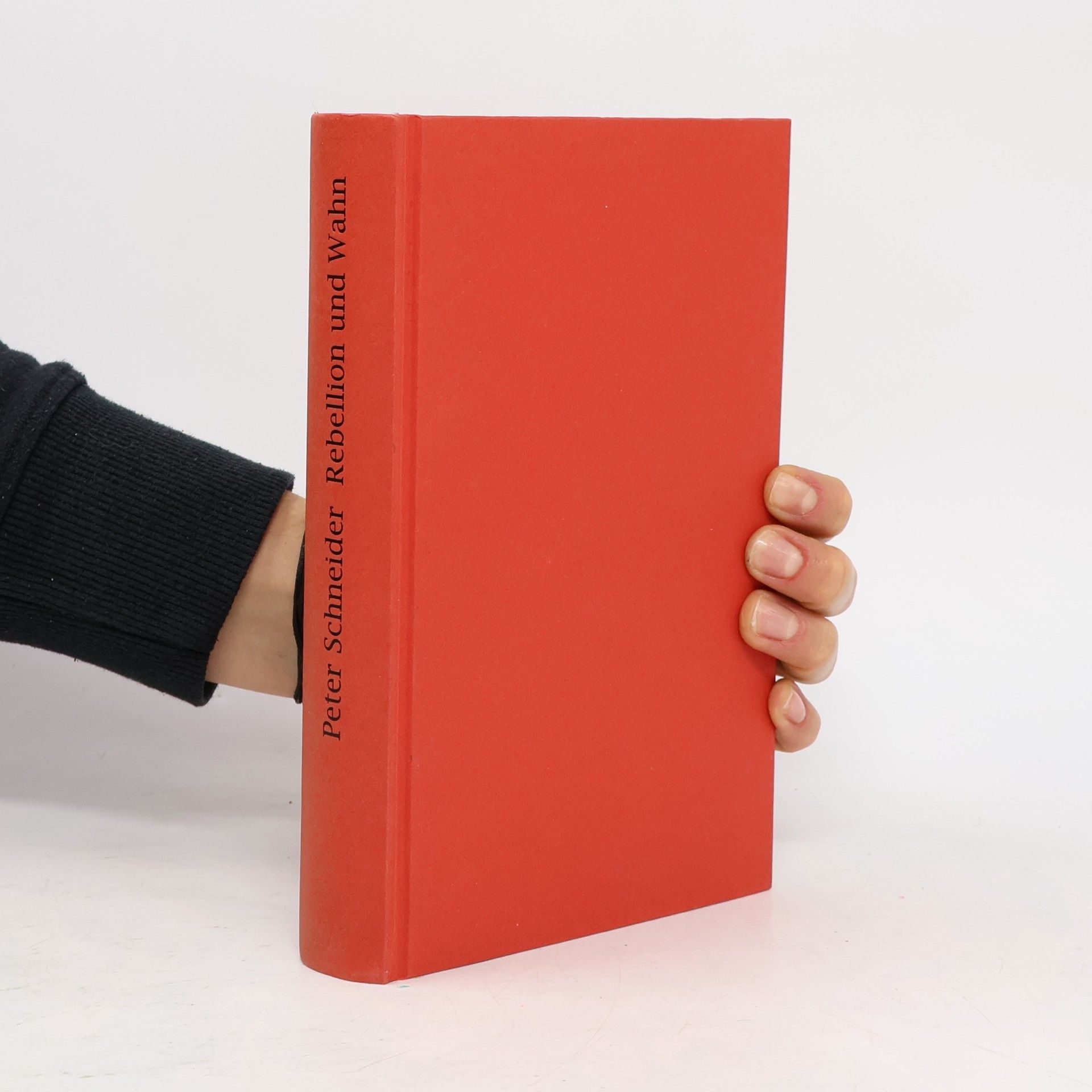 Peter K. Schneider Rebellion und Wahn