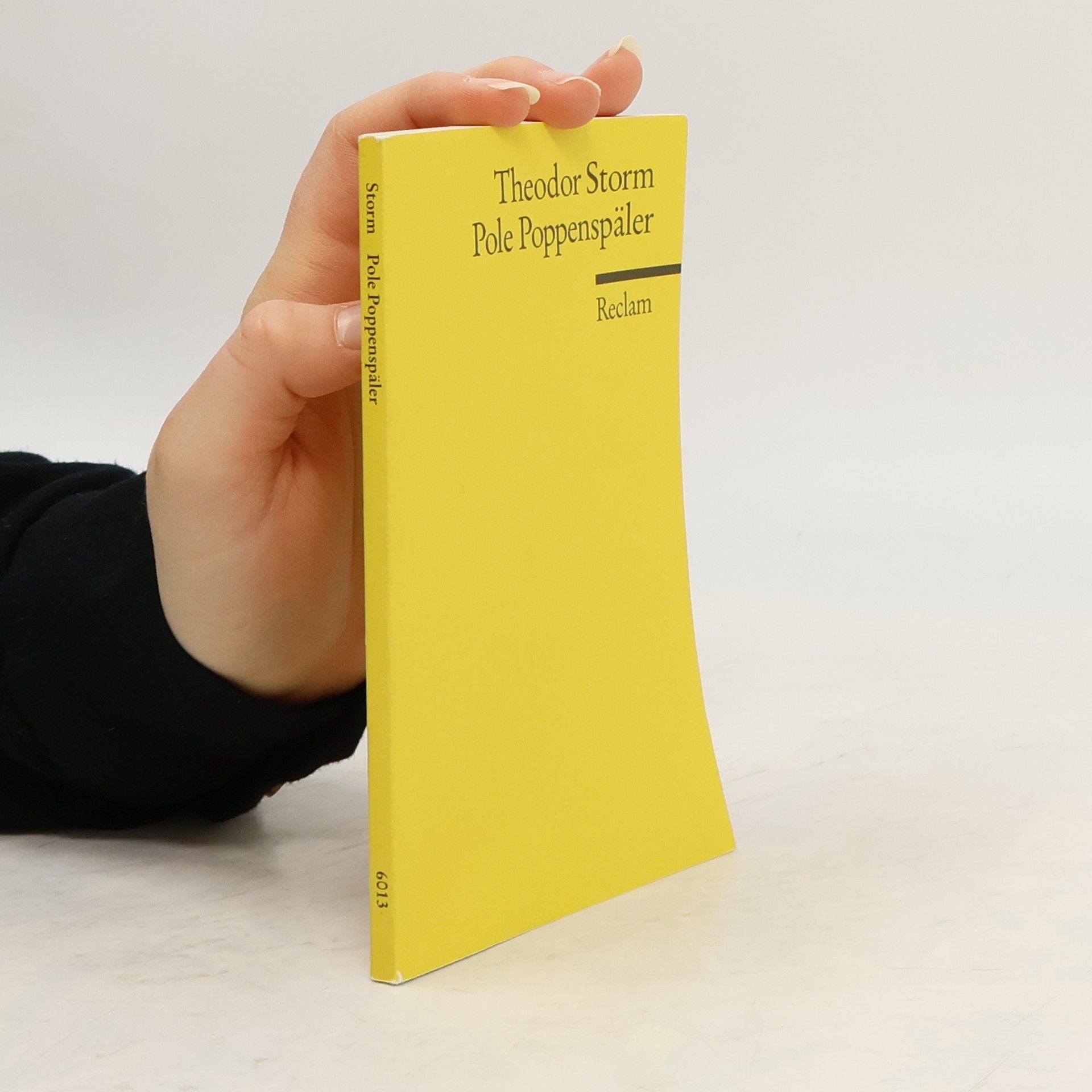 Theodor Storm Pole Poppenspäler