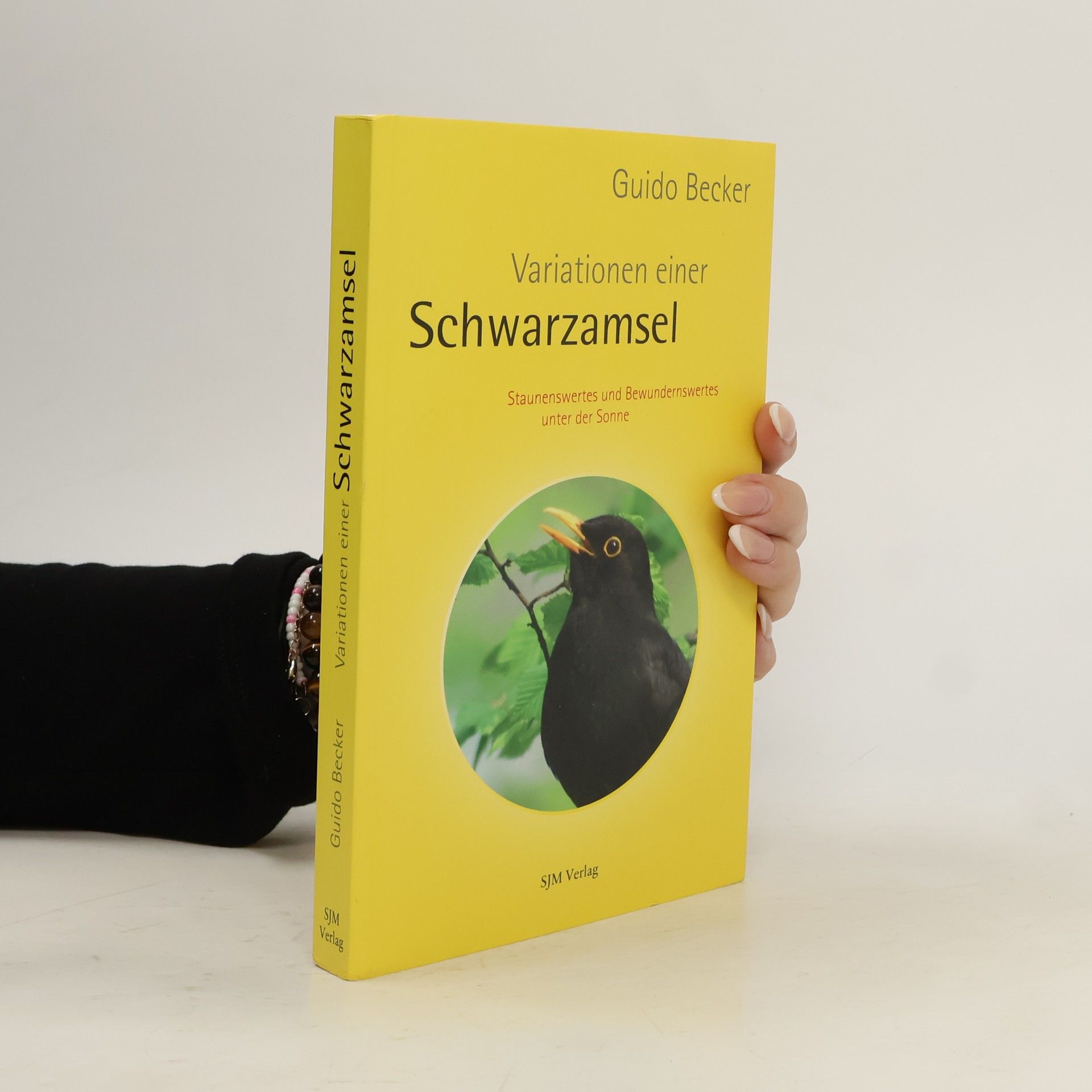 Variationen einer Schwarzamsel