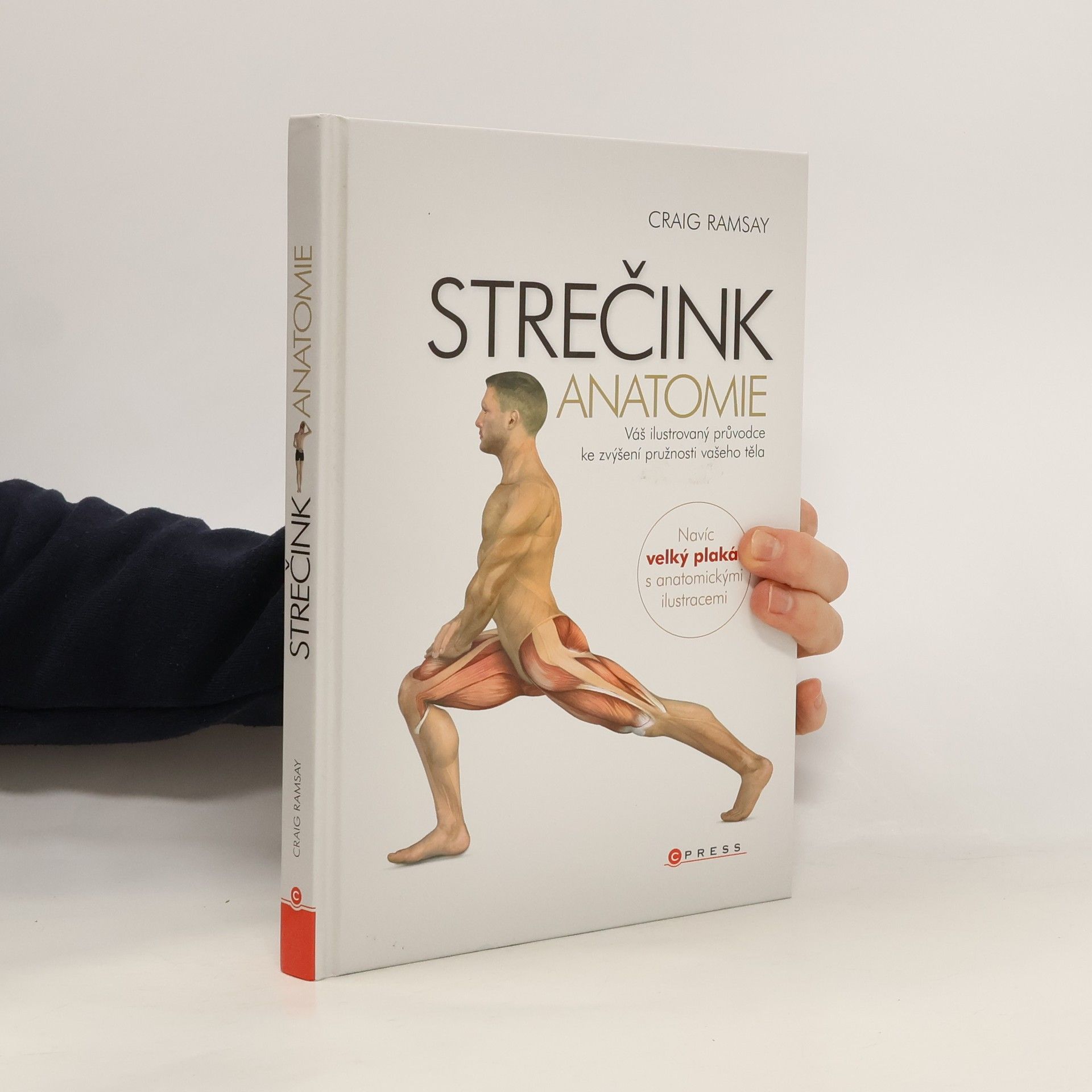 Craig Ramsay Strečink - anatomie