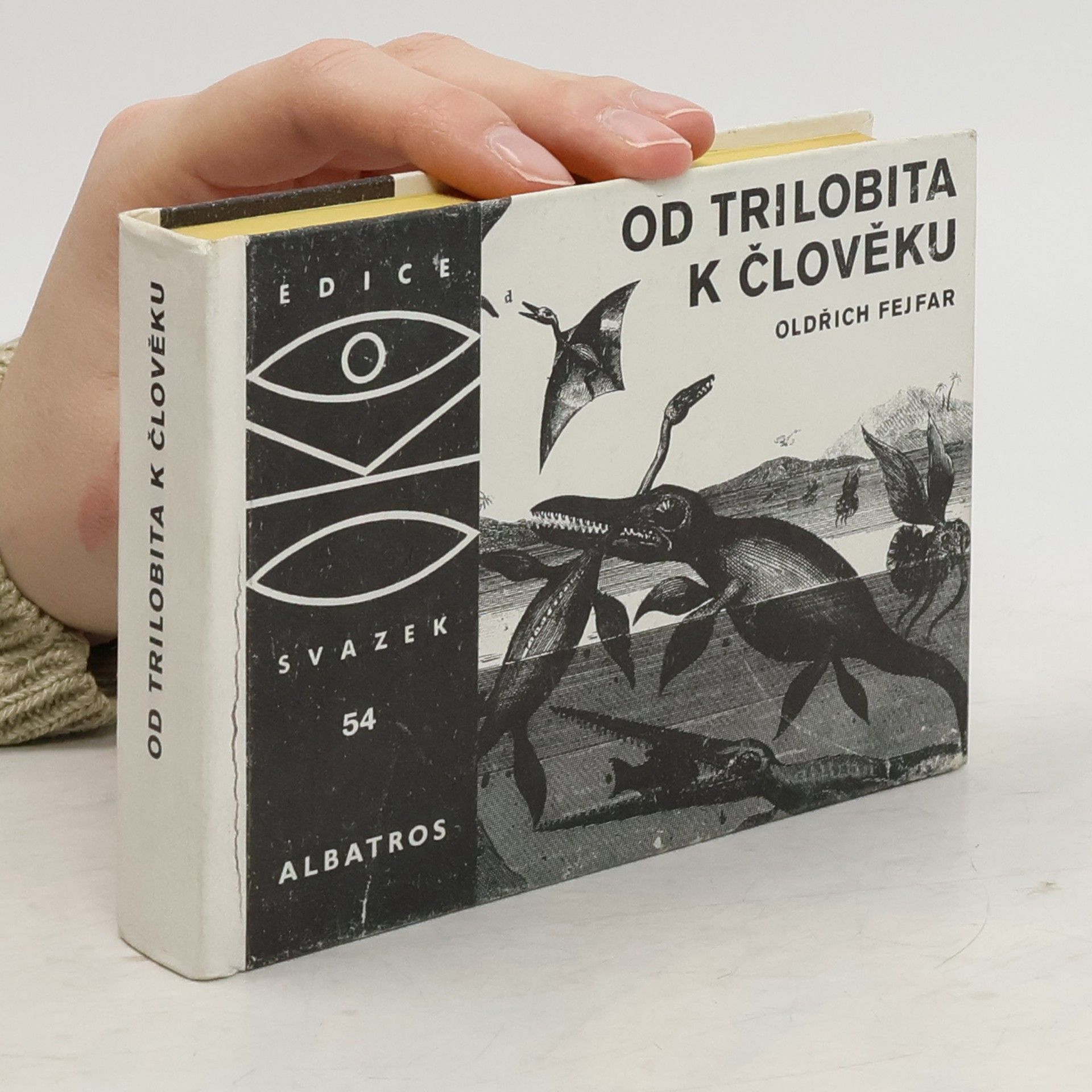 Od trilobita k člověku