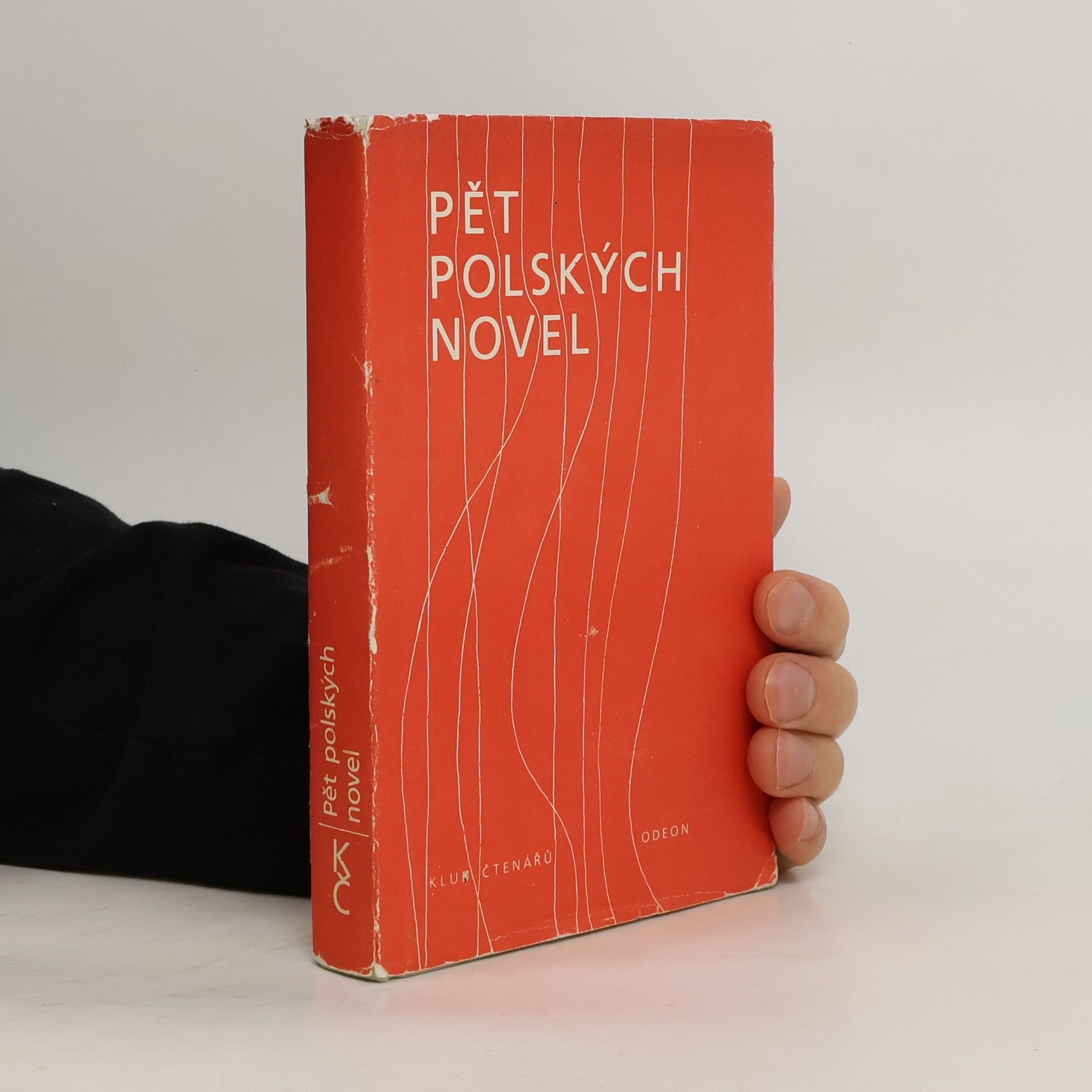 Pět polských novel