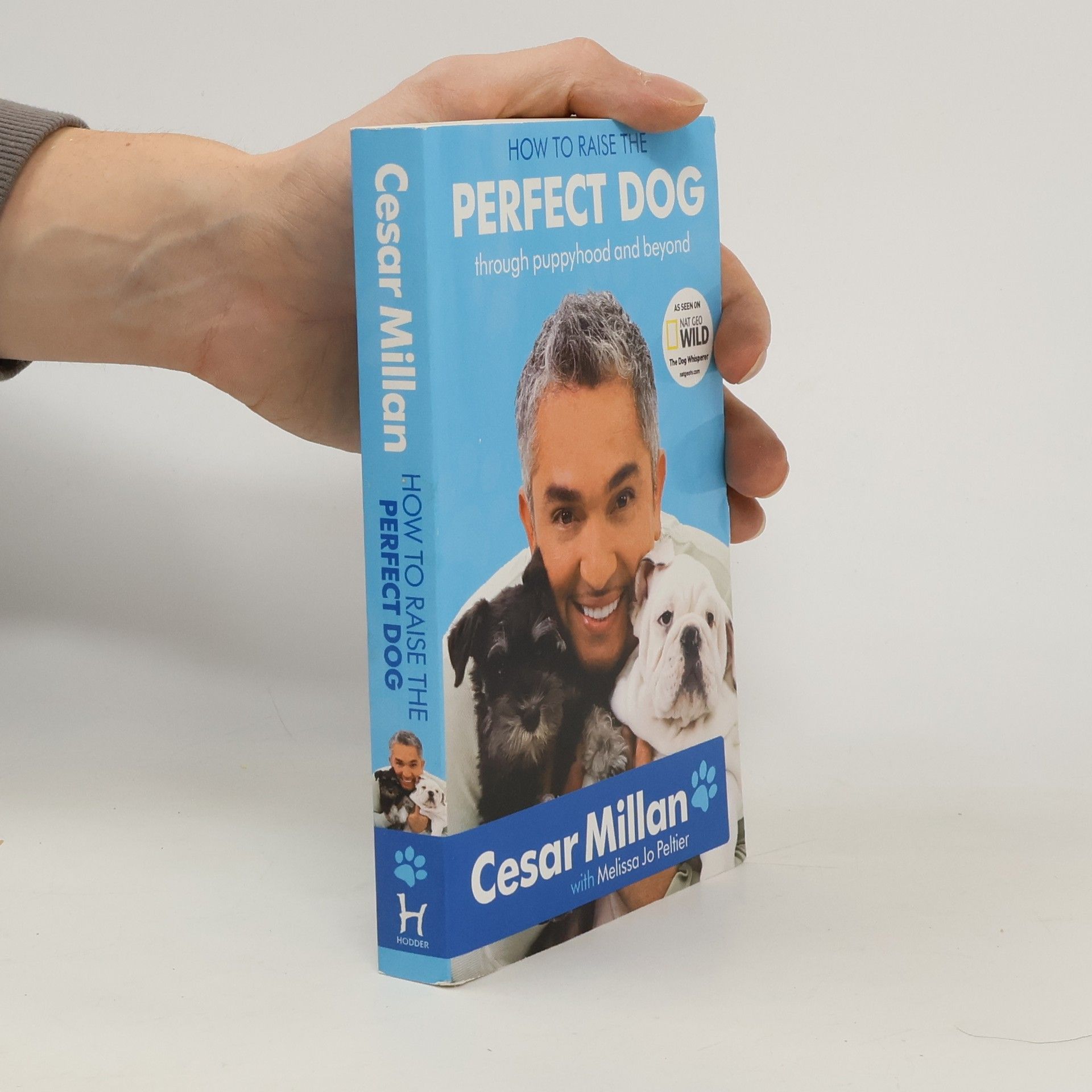 How to Raise the Perfect Dog