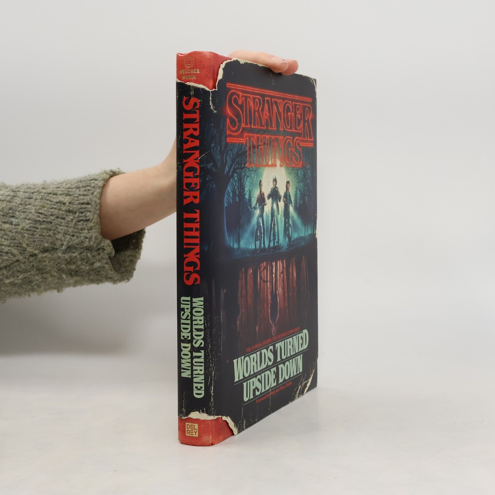 Auteurscollectief Stranger Things. Worlds Turned Upside Down