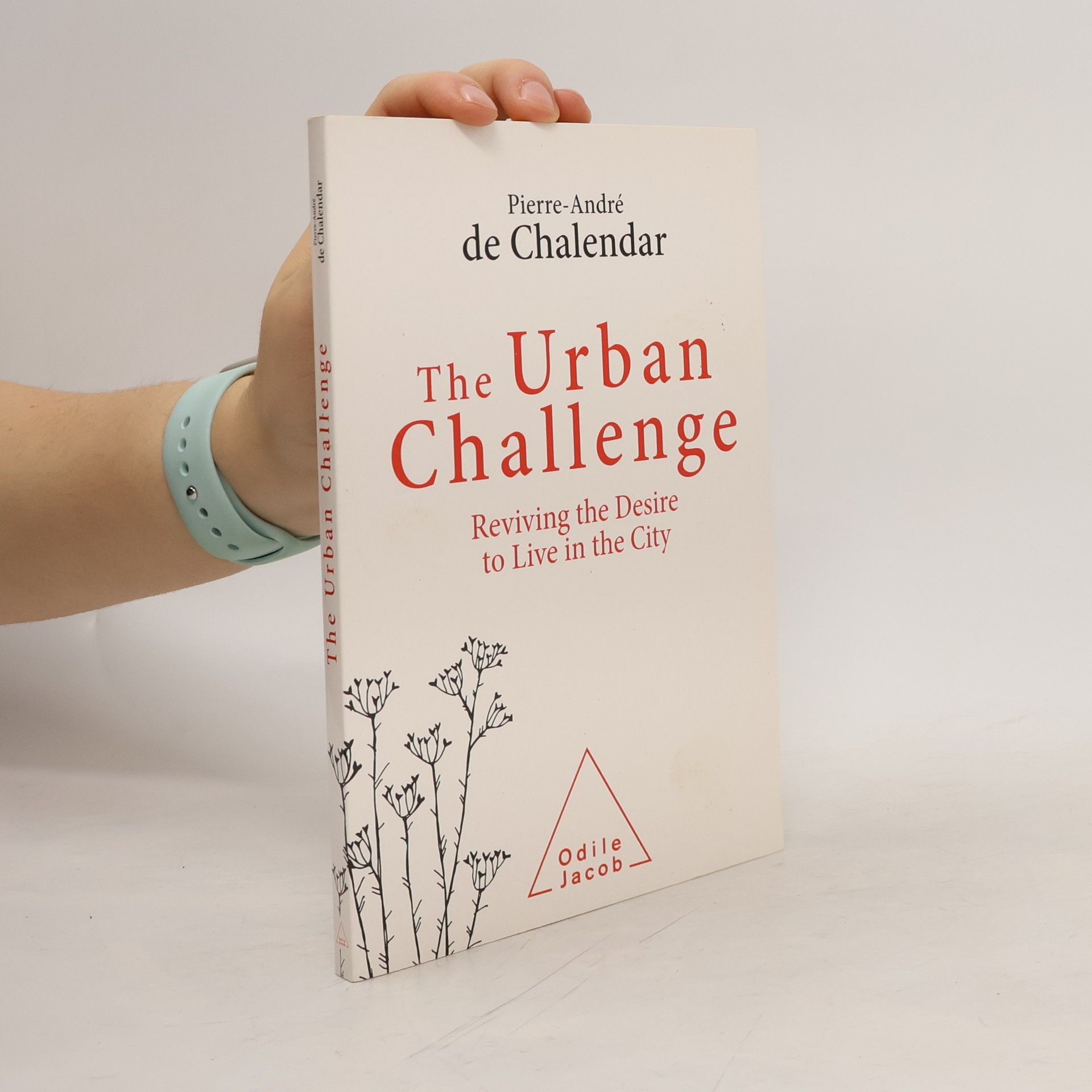 The Urban Challenge