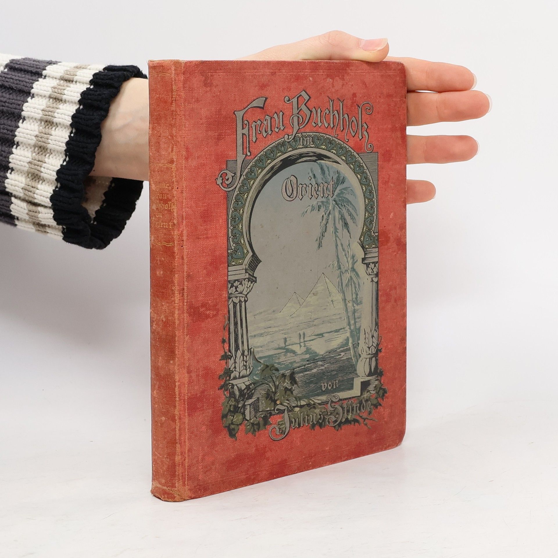 Julius Stinde Frau Buchholz im Orient
