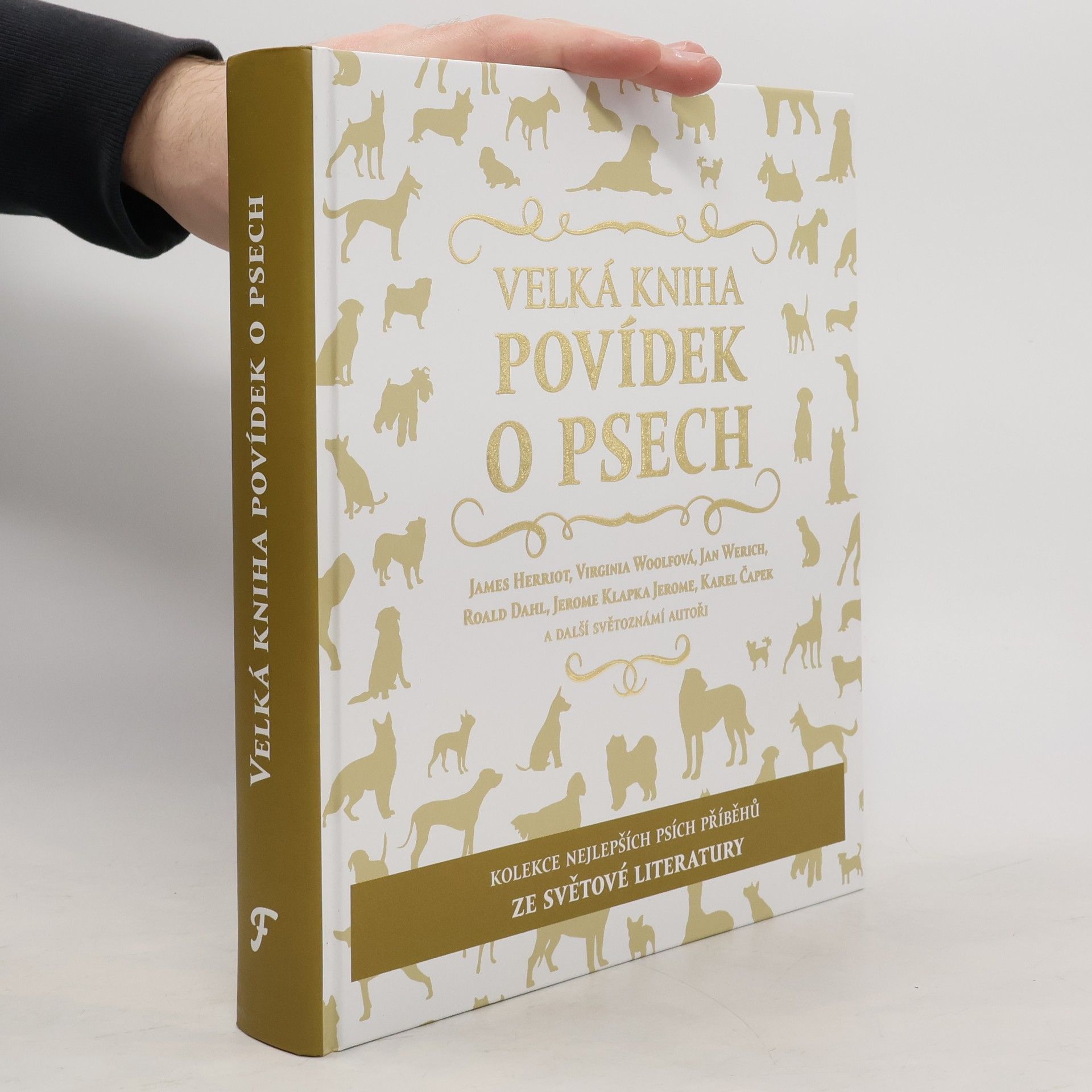 Kolektiv autorů Velká kniha povídek o psech